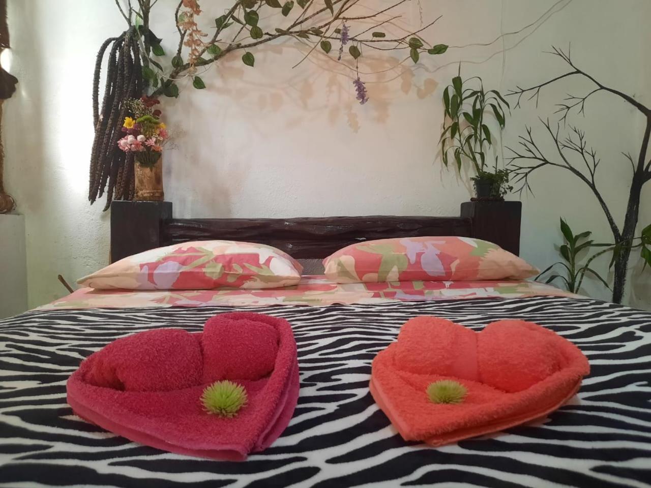 Eco Hostal Tierra de Agua y Fuego