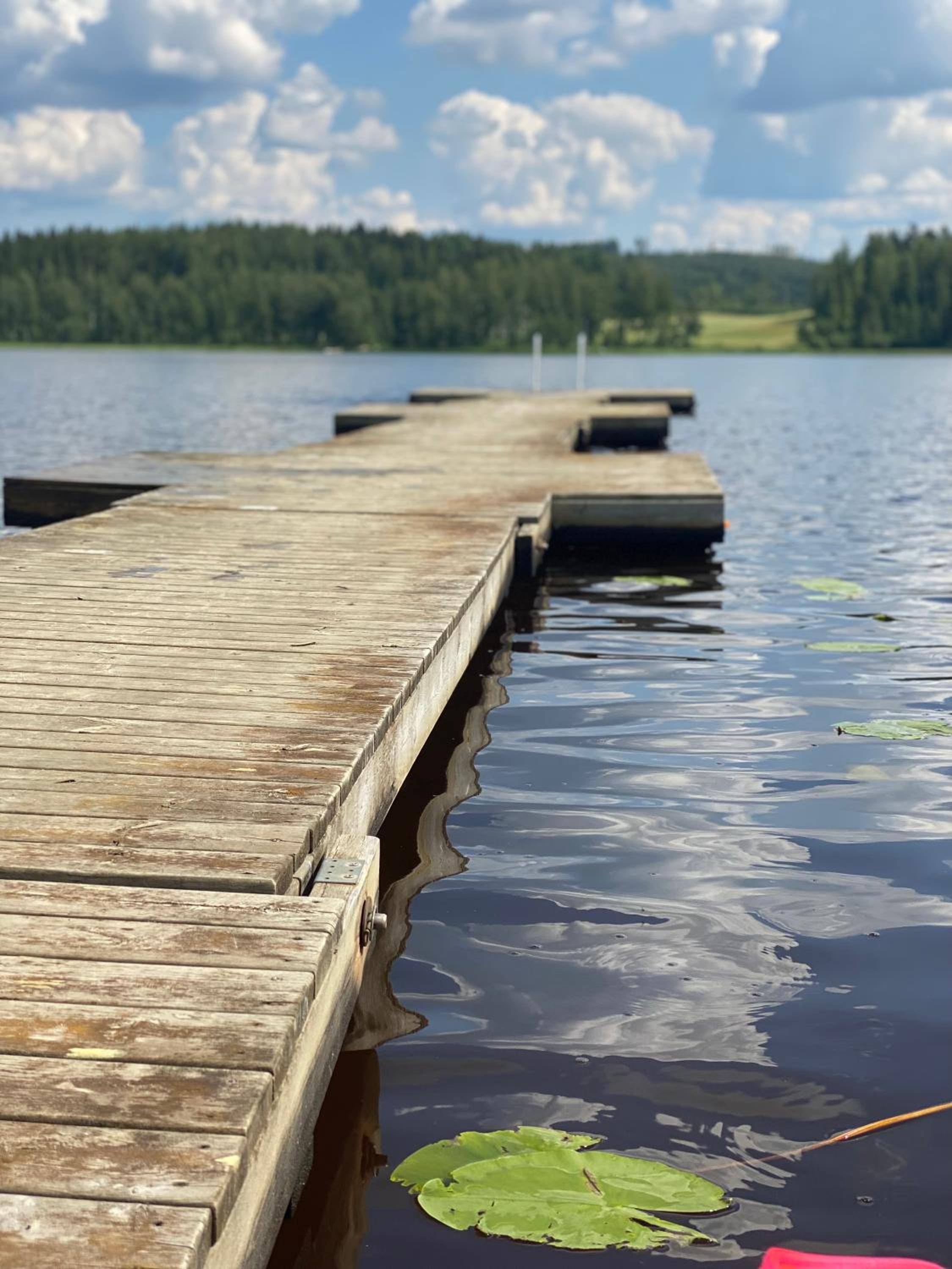 Kopsamonlinna