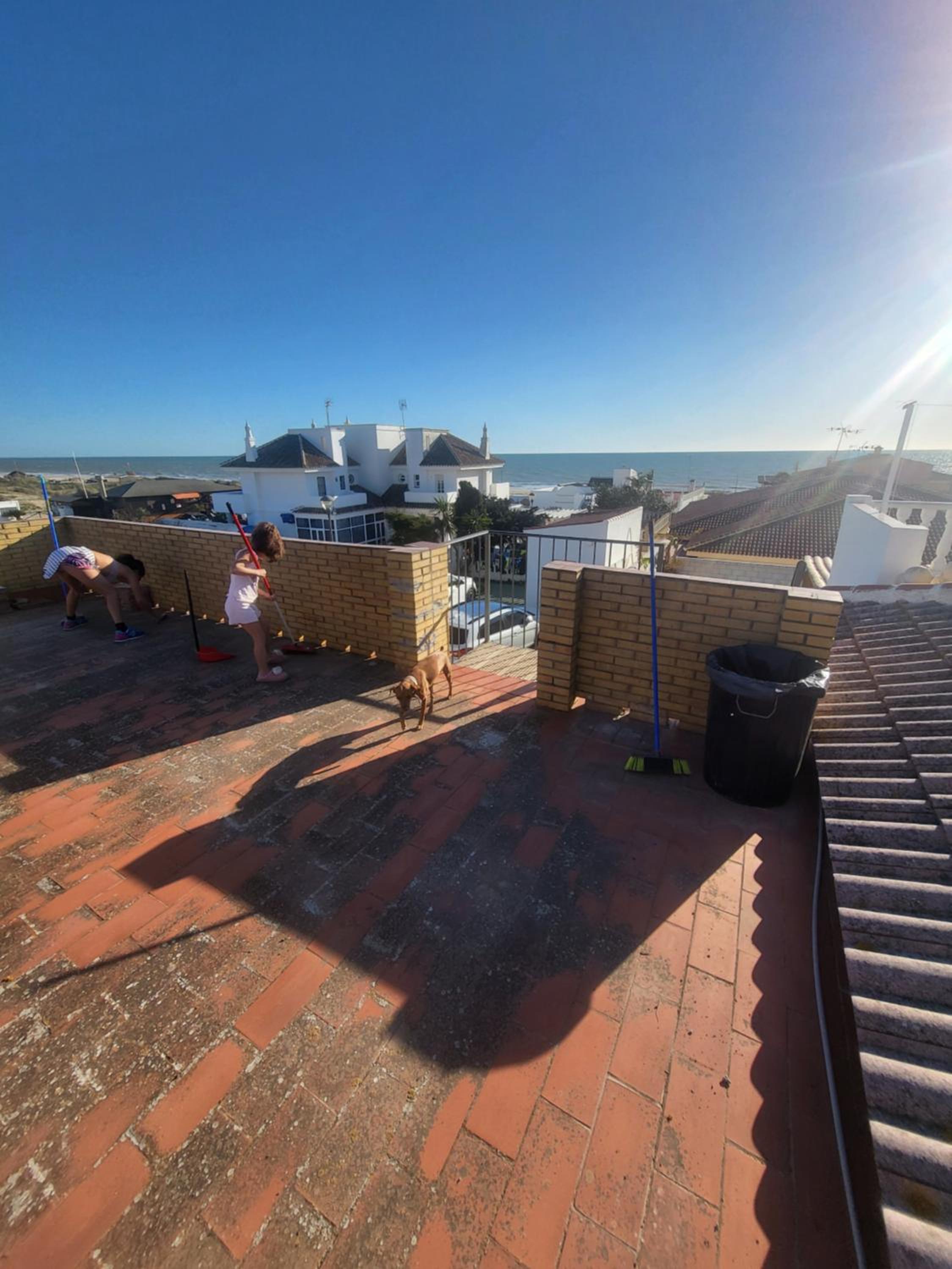 roof