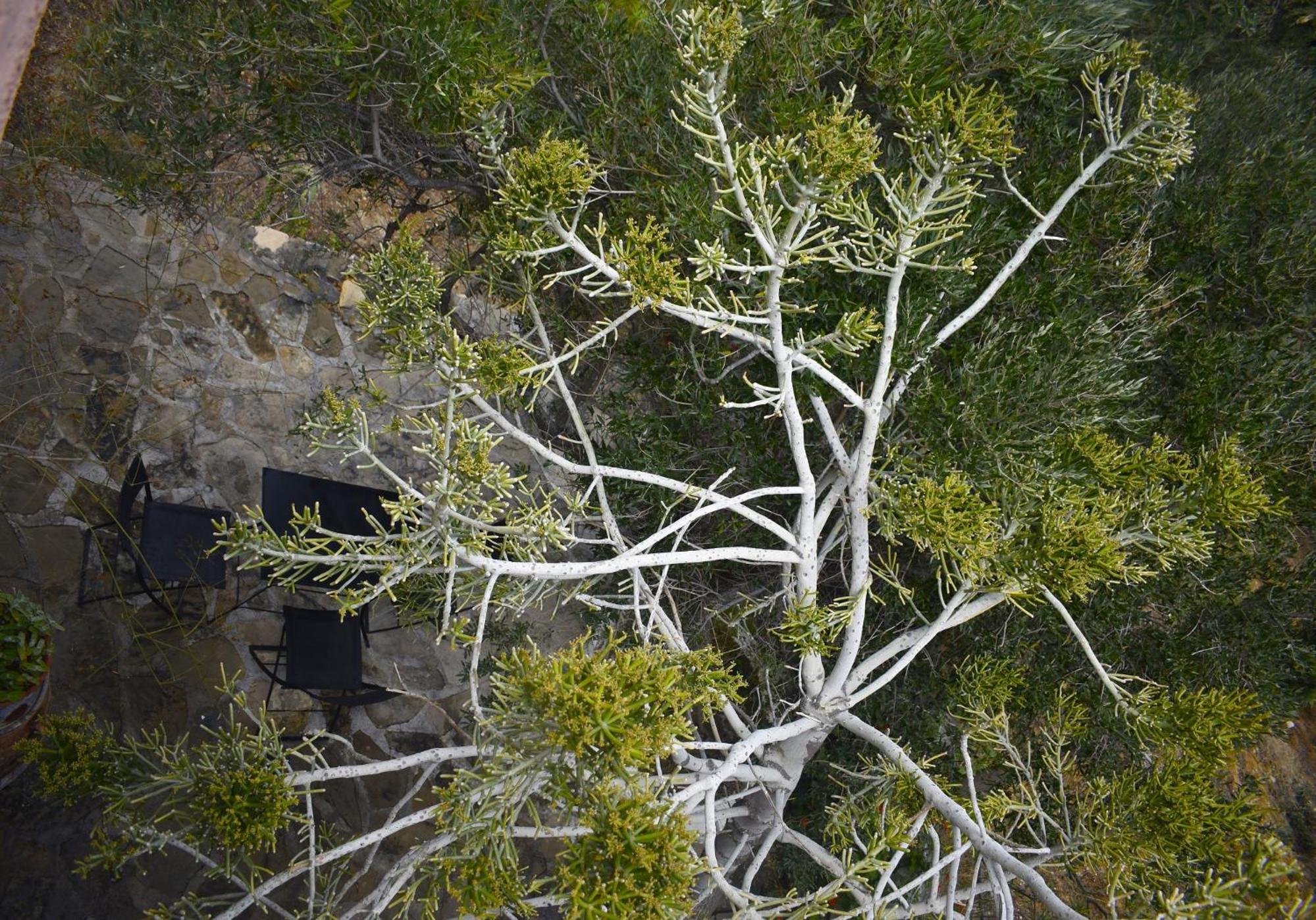 Photo 48