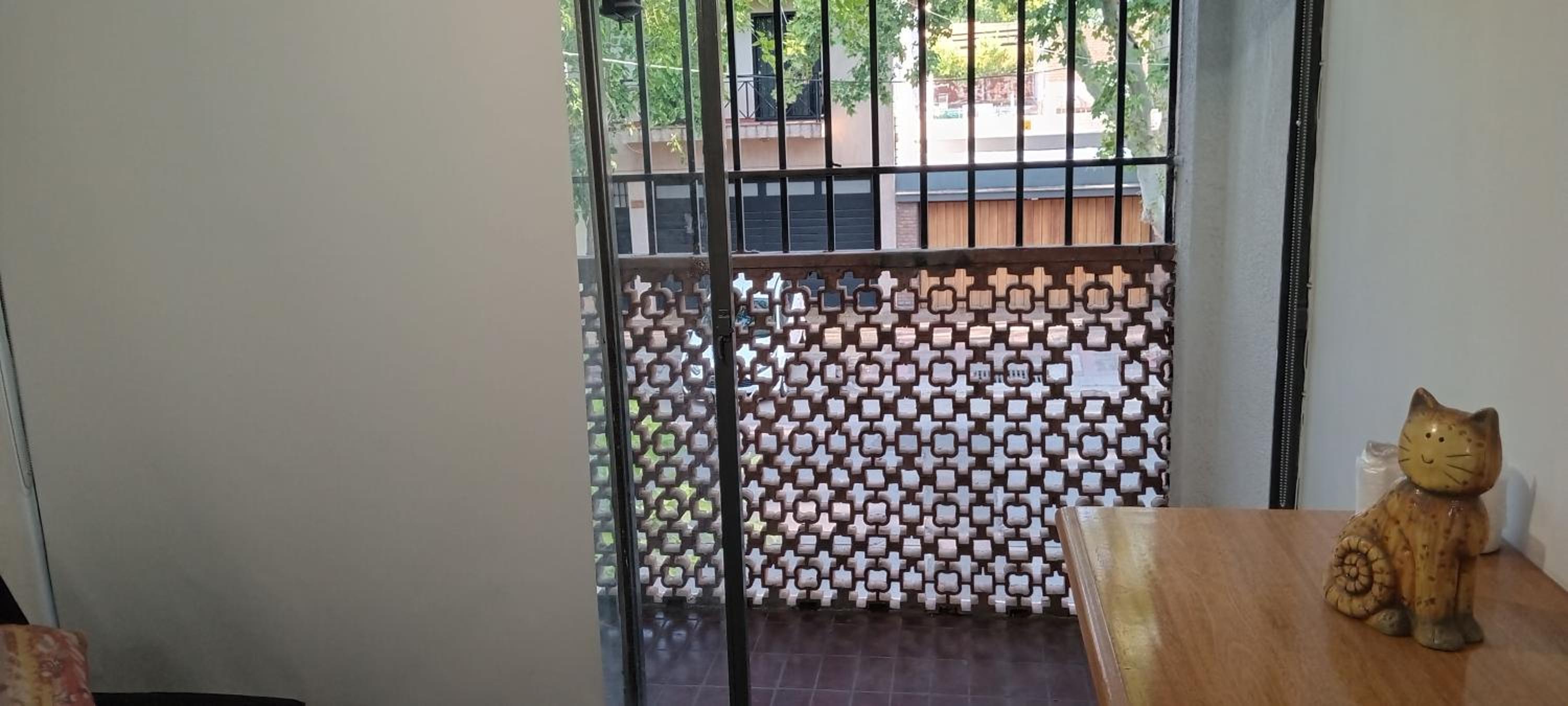 Alquiler Temporario Departamento 6ta Sección Mendoza