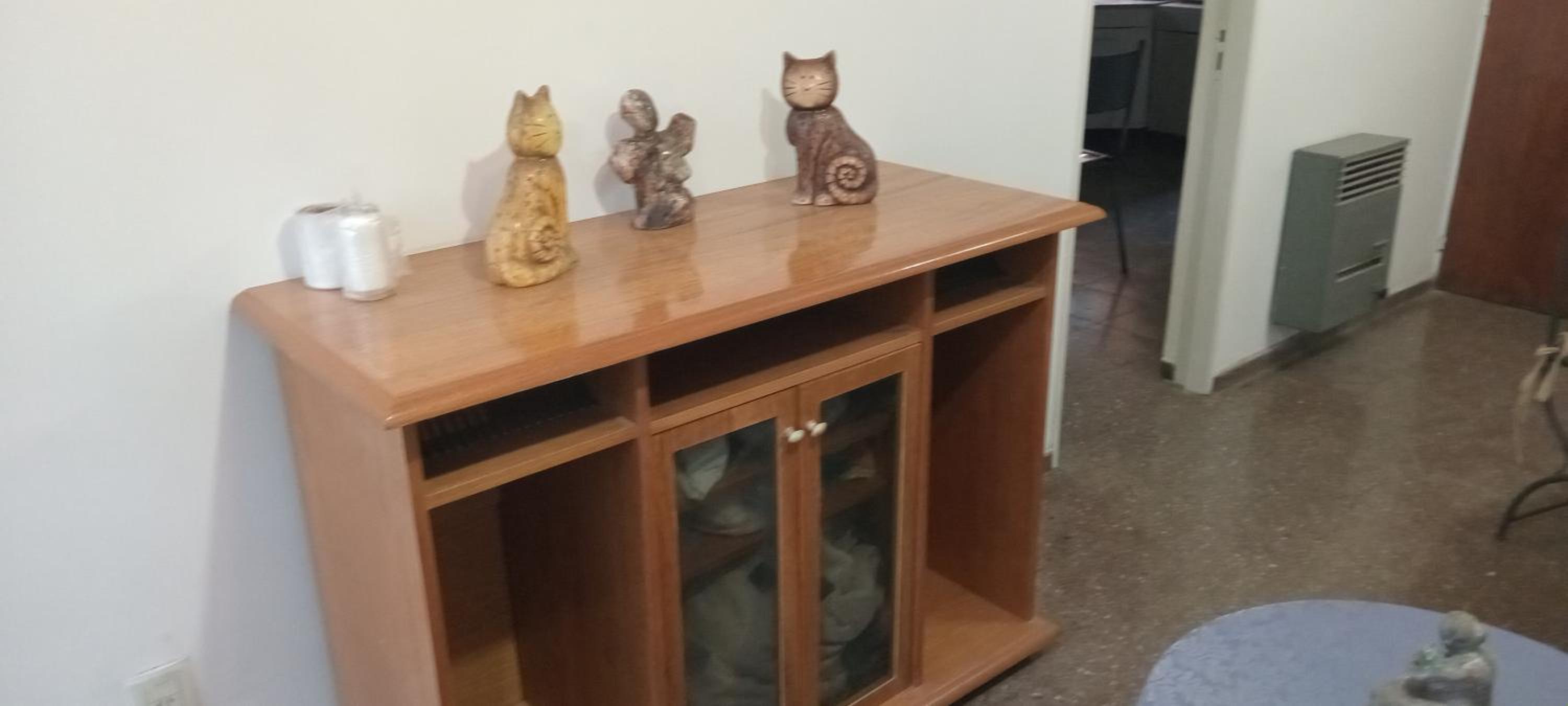 Alquiler Temporario Departamento 6ta Sección Mendoza