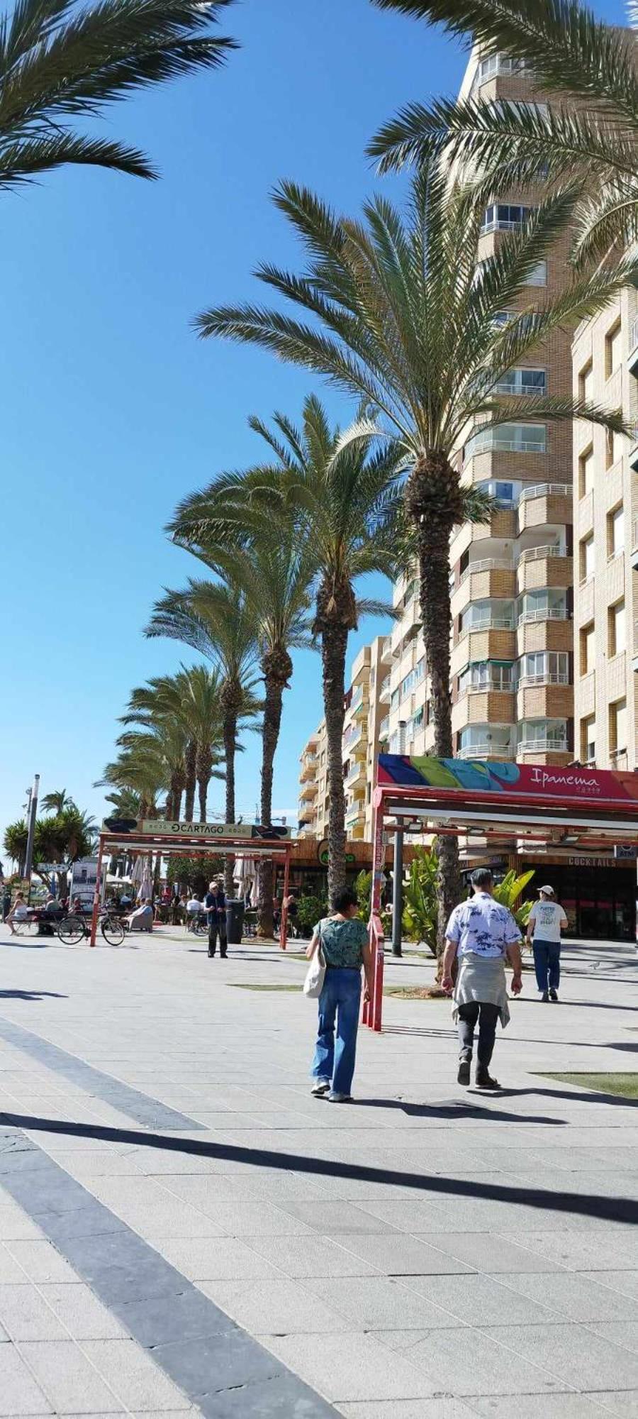 Seaview Torrevieja CityCenter CuraBeach 50m Apartment
