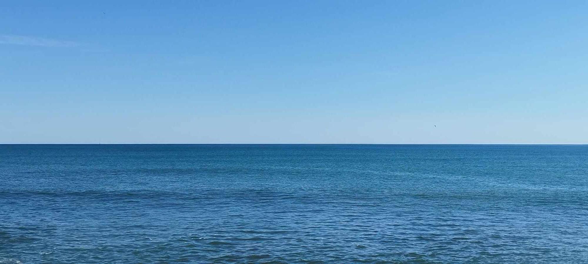 Seaview Torrevieja CityCenter CuraBeach 50m Apartment