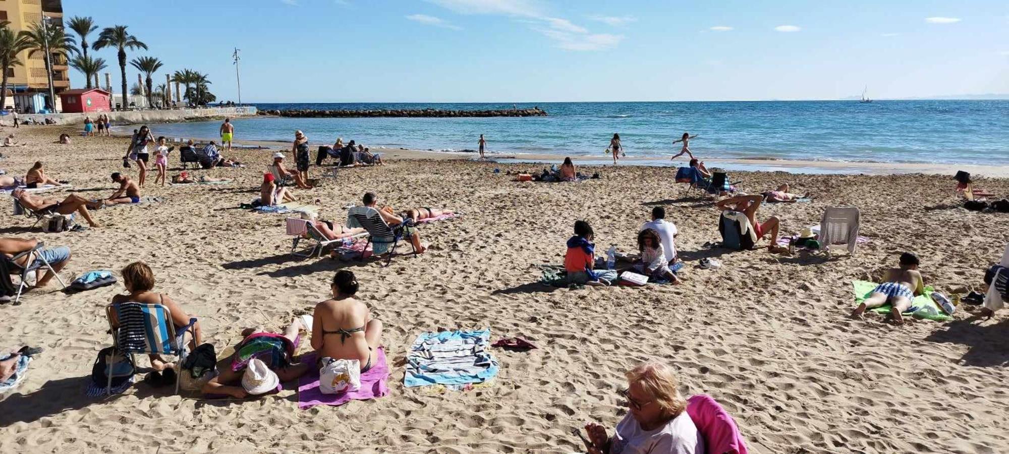 Seaview Torrevieja CityCenter CuraBeach 50m Apartment