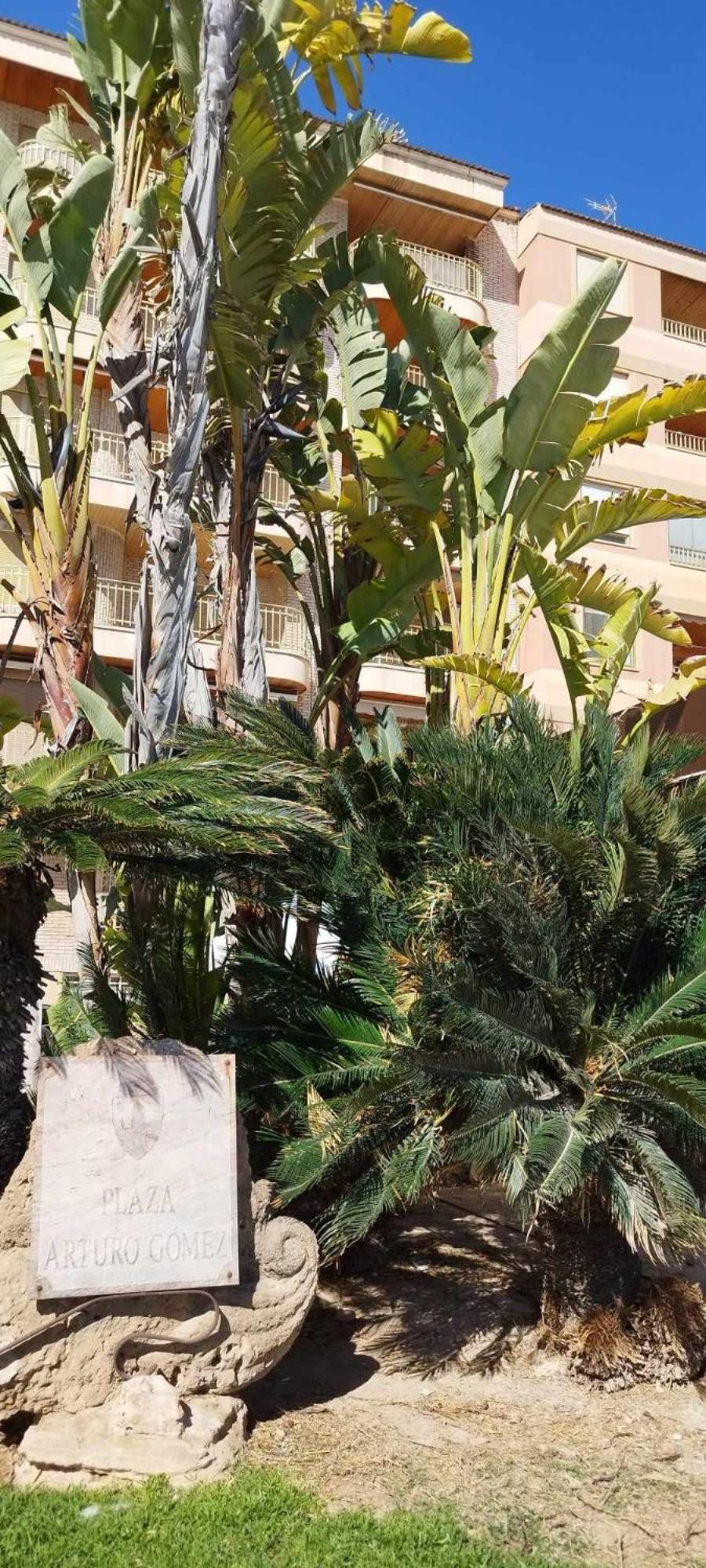 Seaview Torrevieja CityCenter CuraBeach 50m Apartment