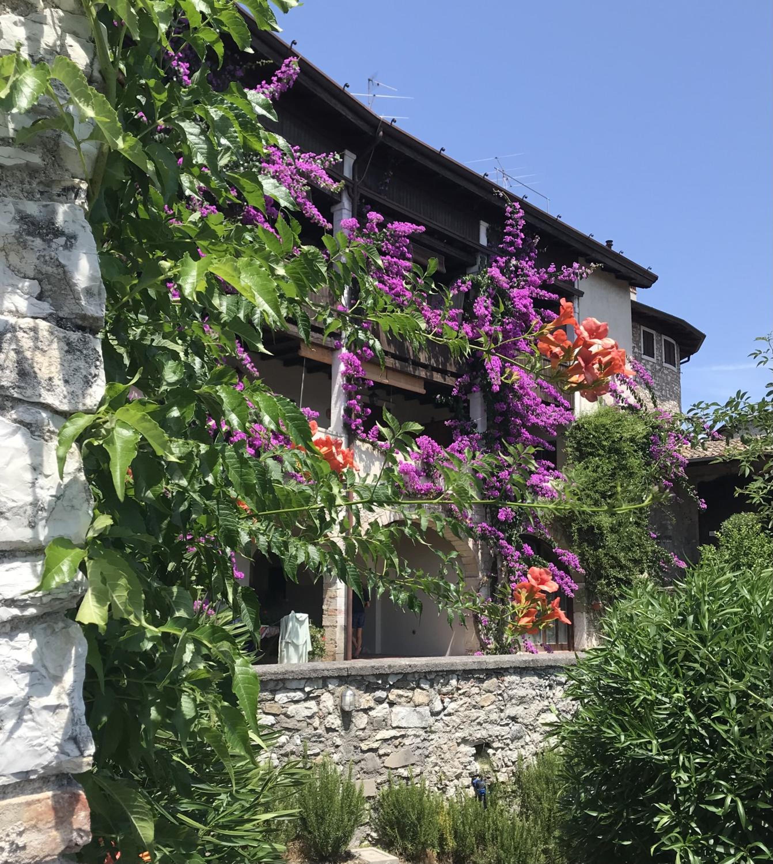 Antica Limonaia Lake view and pool view 4