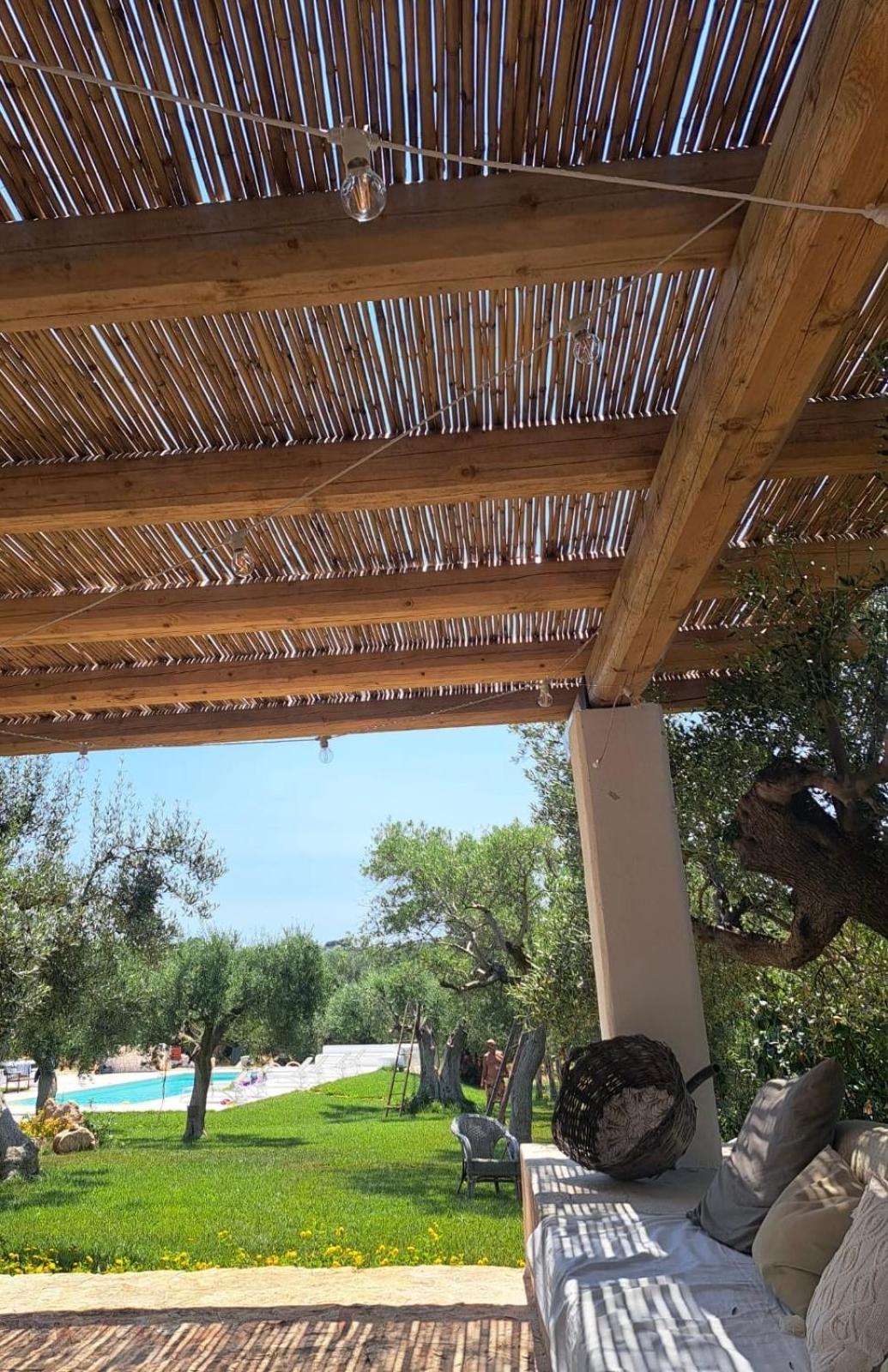 Photo 52