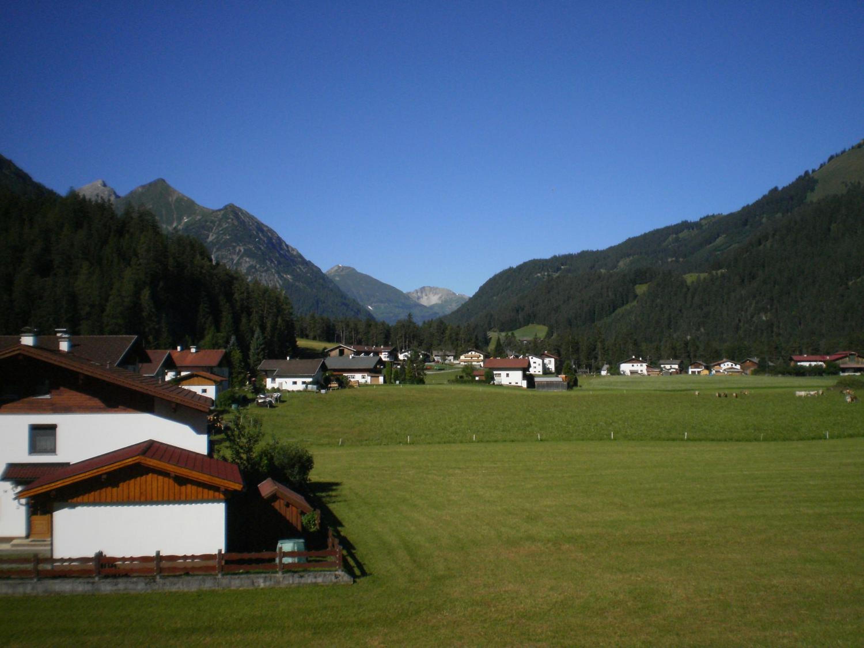 Photo 7