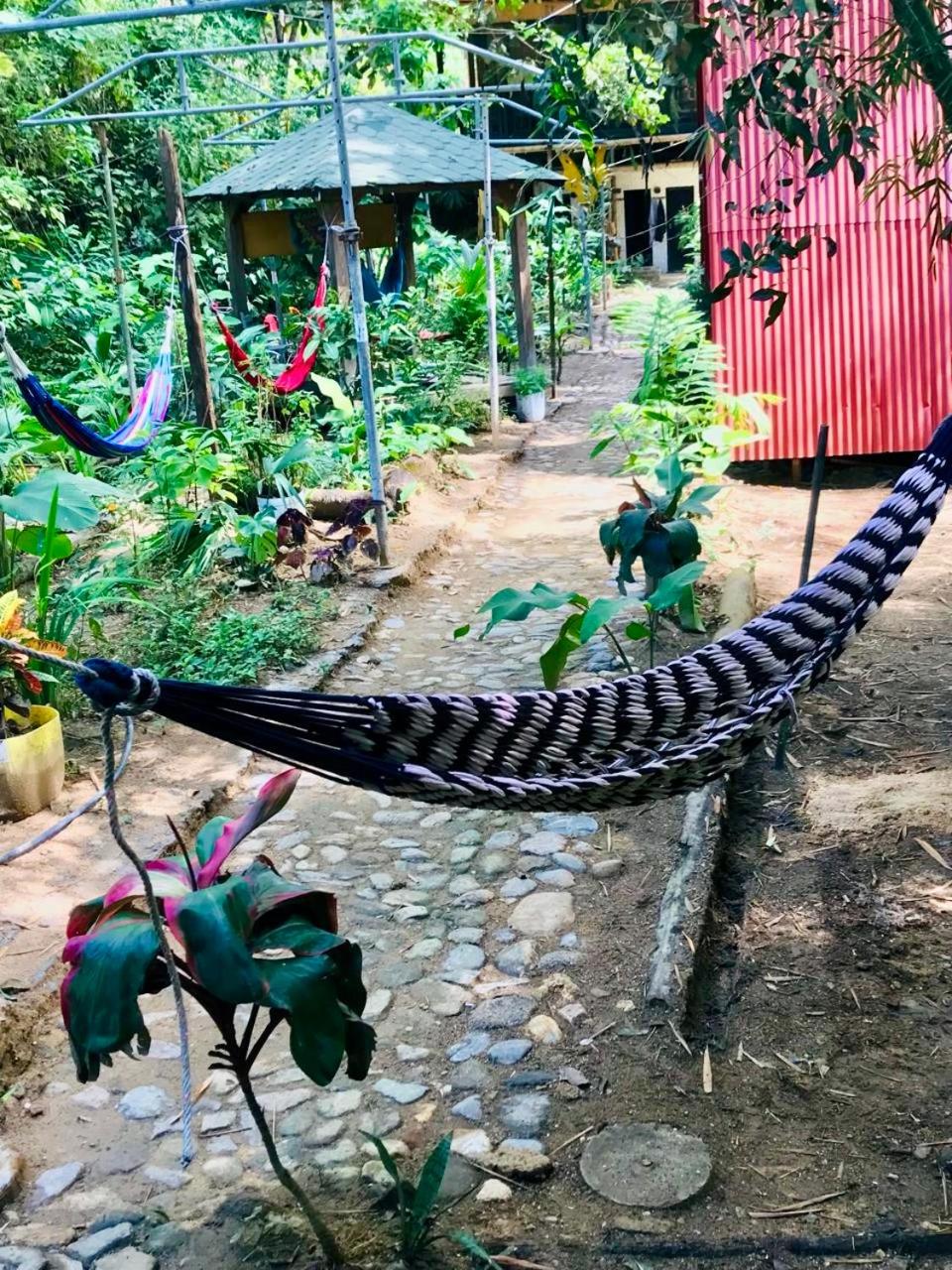 Hostal Las Mariposas Minca