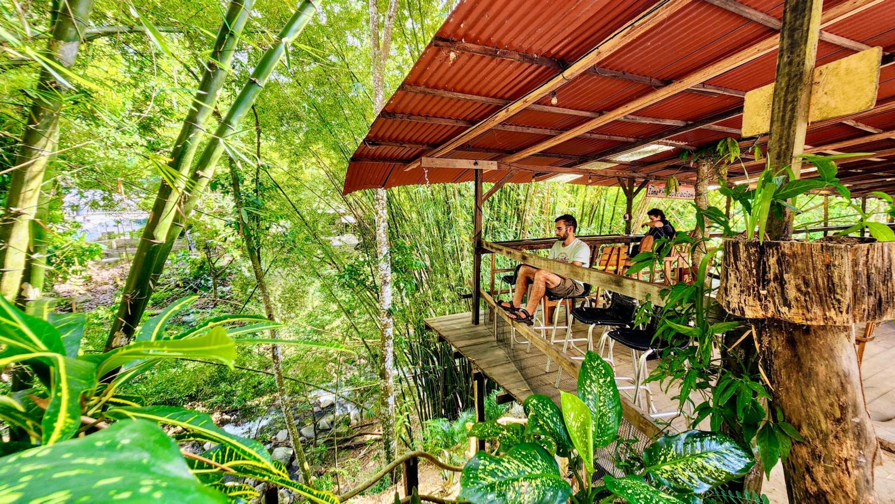 Hostal Las Mariposas Minca