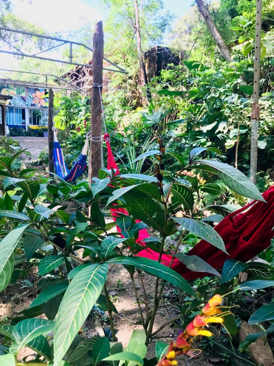 Hostal Las Mariposas Minca