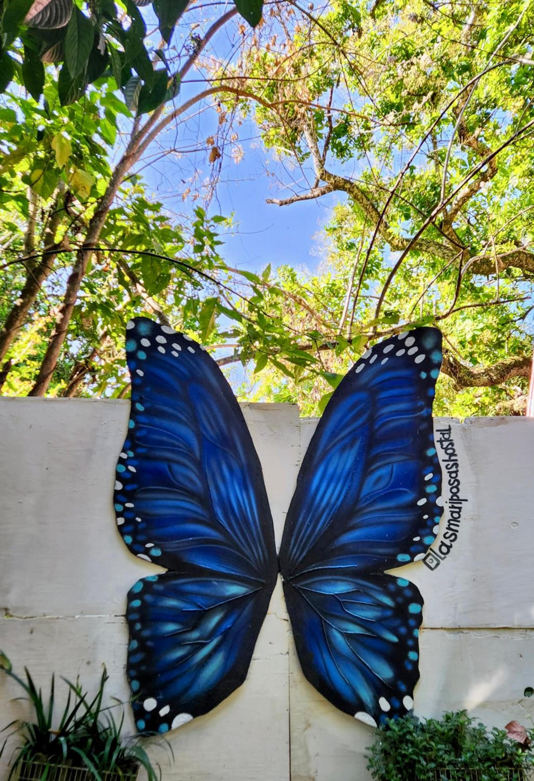 Hostal Las Mariposas Minca
