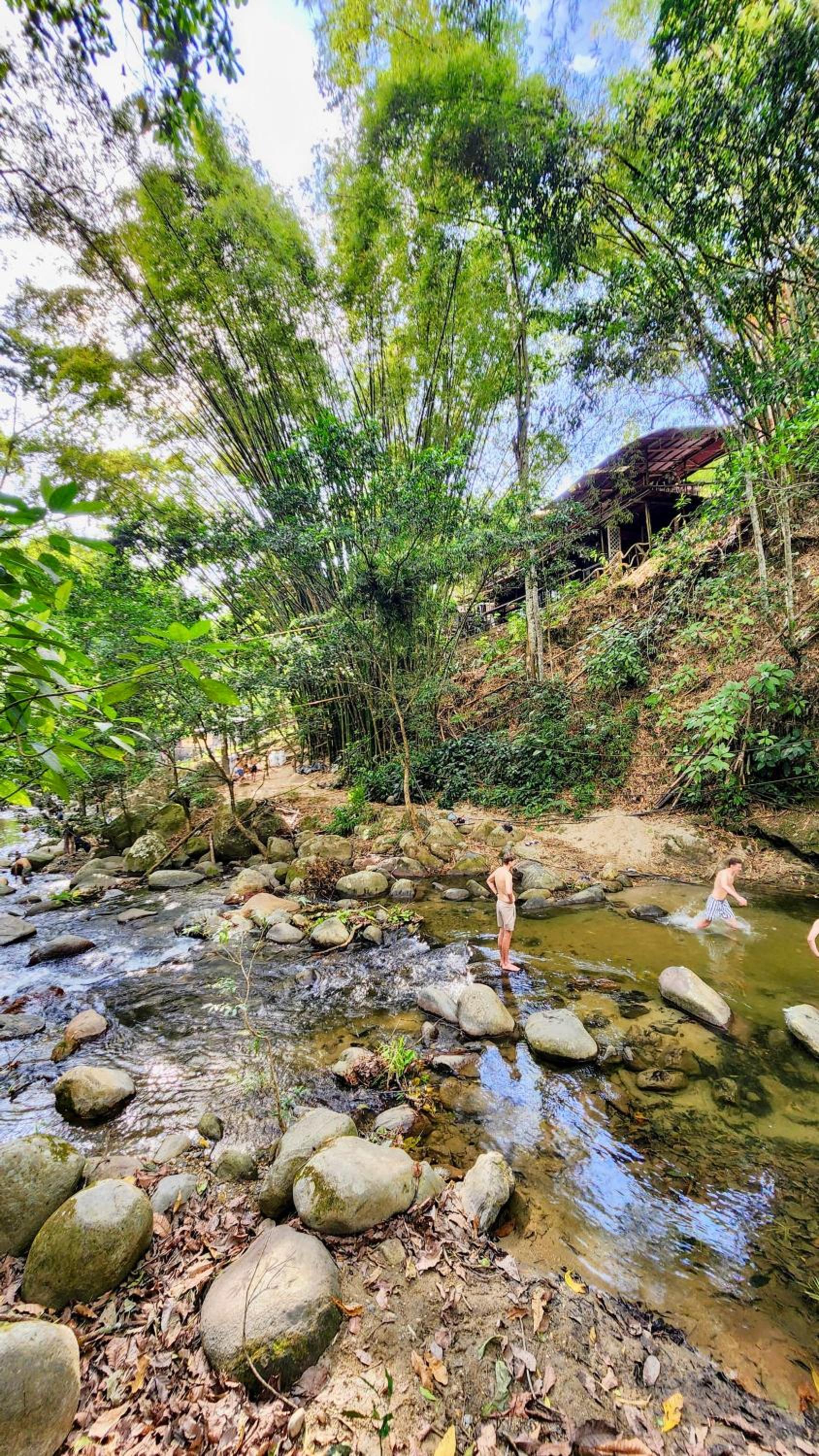 Hostal Las Mariposas Minca