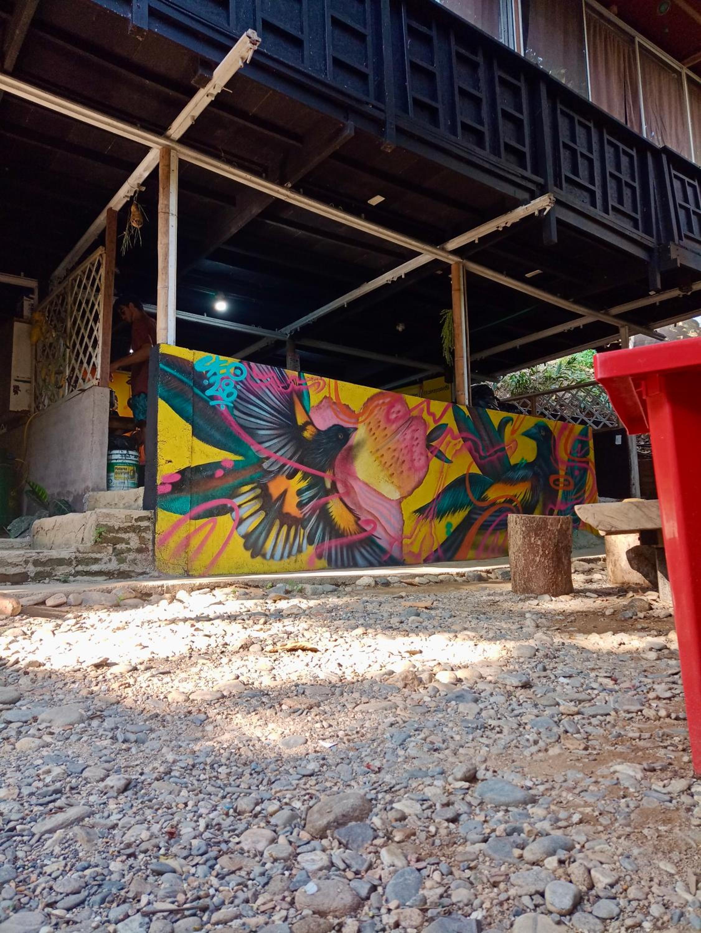 Hostal Las Mariposas Minca
