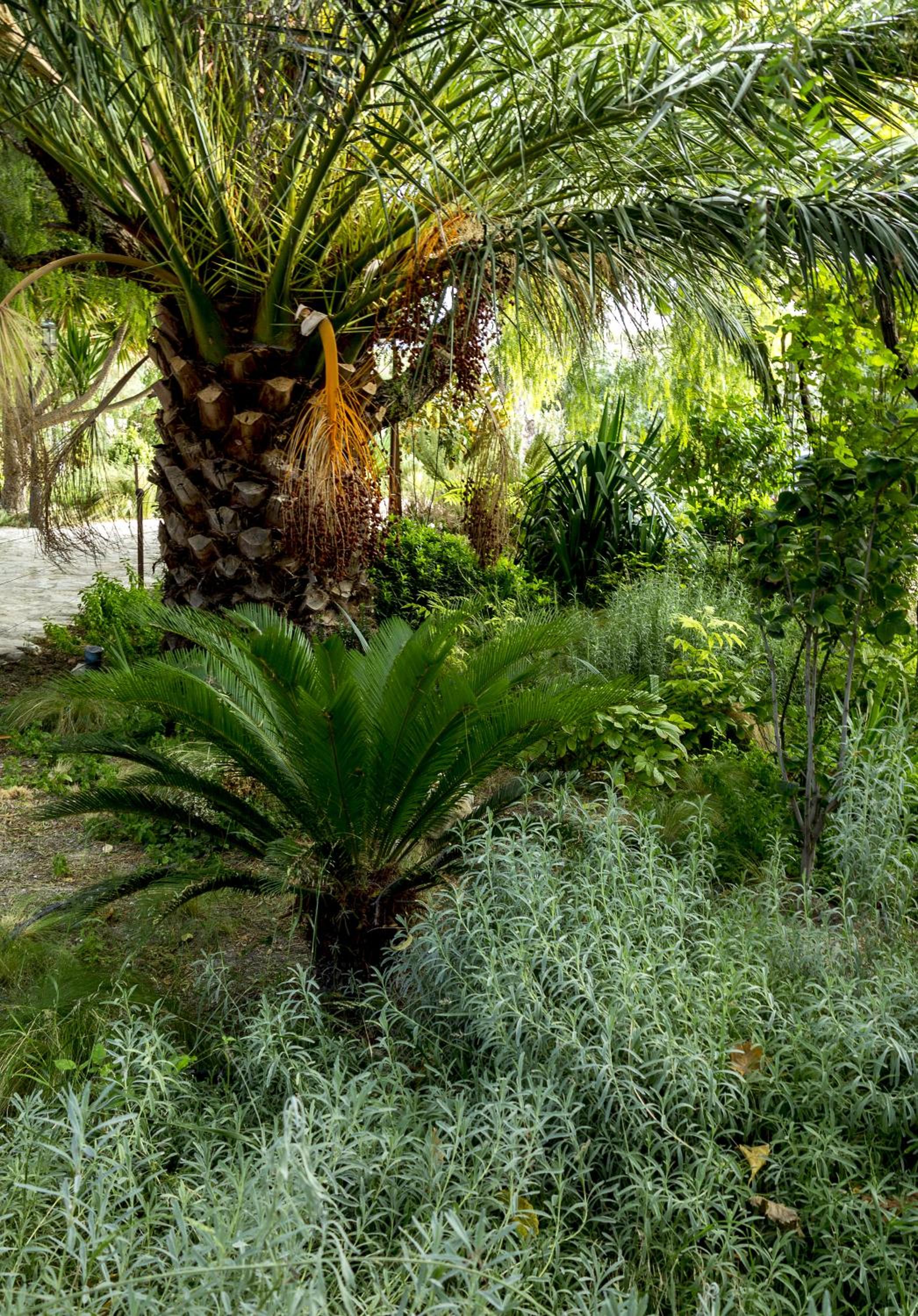 Jardines de Casablanca