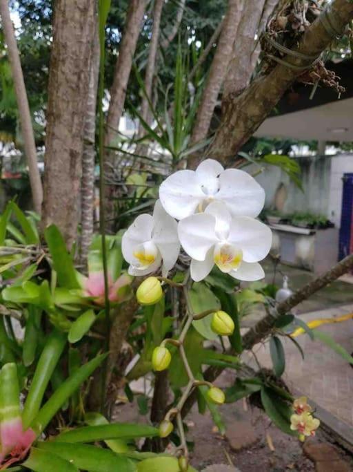 Casa Jd Oceanico - Barra da Tijuca -RJ