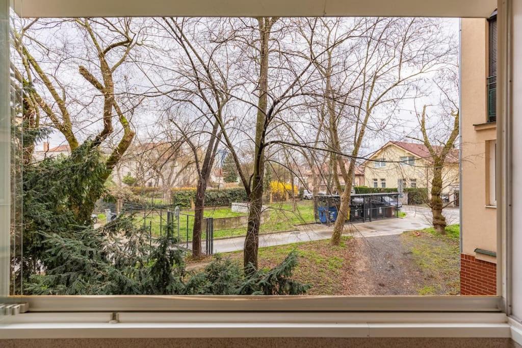 Urban Haven: Blissful Living in Central Bratislava view 2