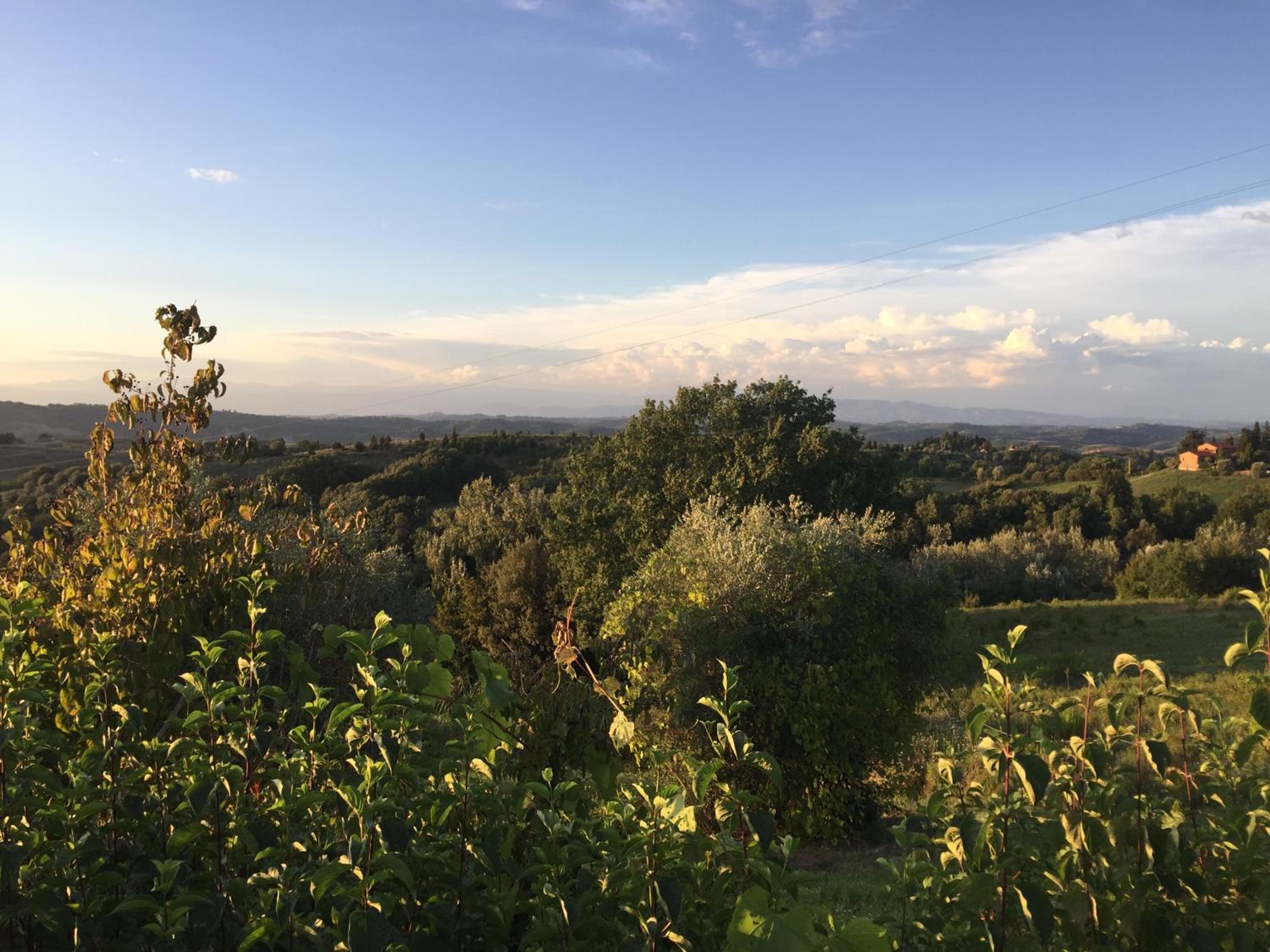La Fornace - Agriturismo