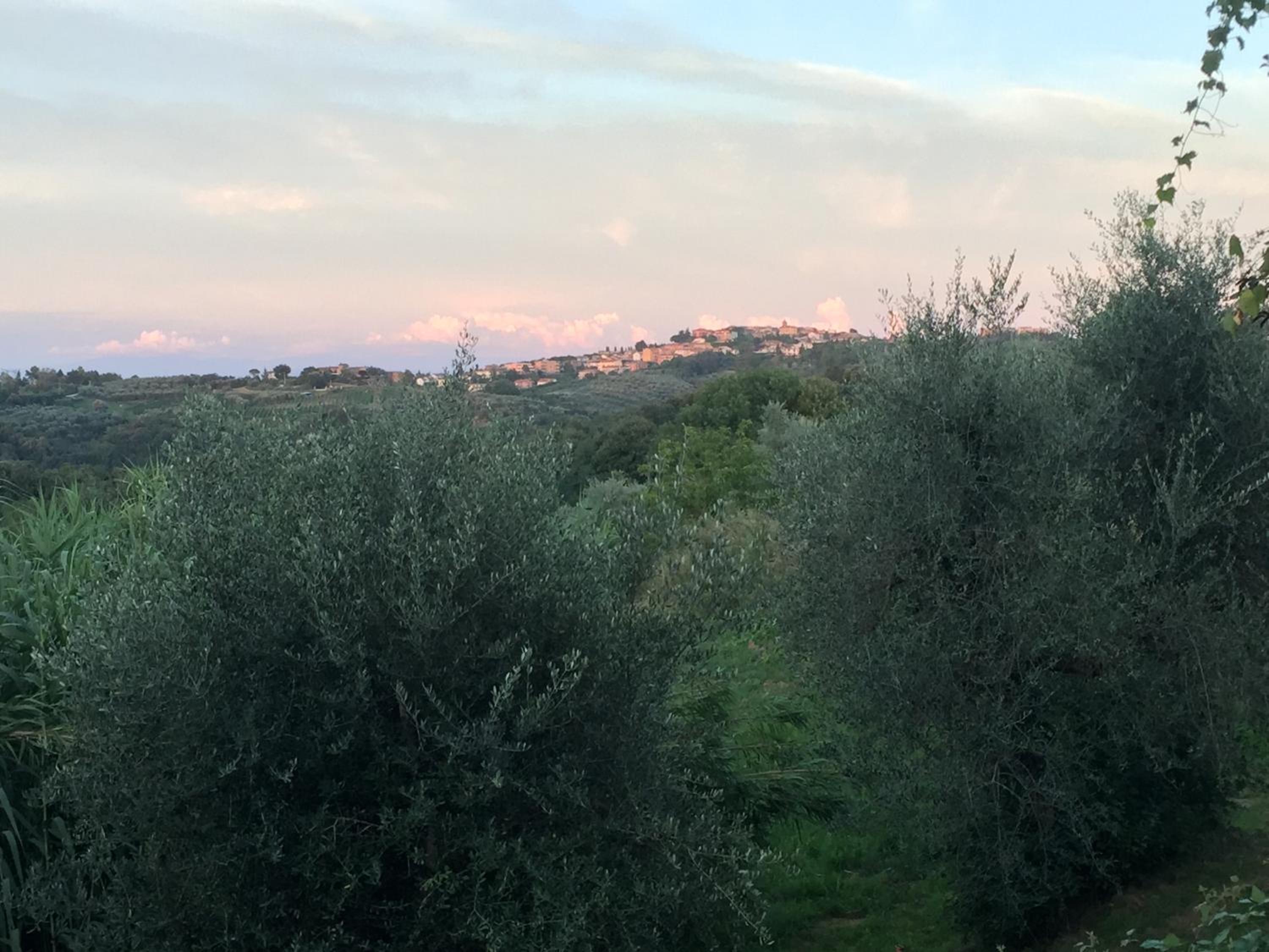 La Fornace - Agriturismo