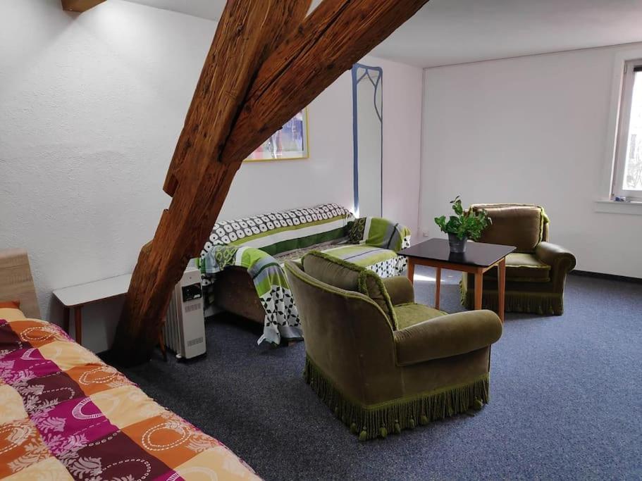 Große 130 m2 gemütliche Wohnung im Herzen Tribergs view 3
