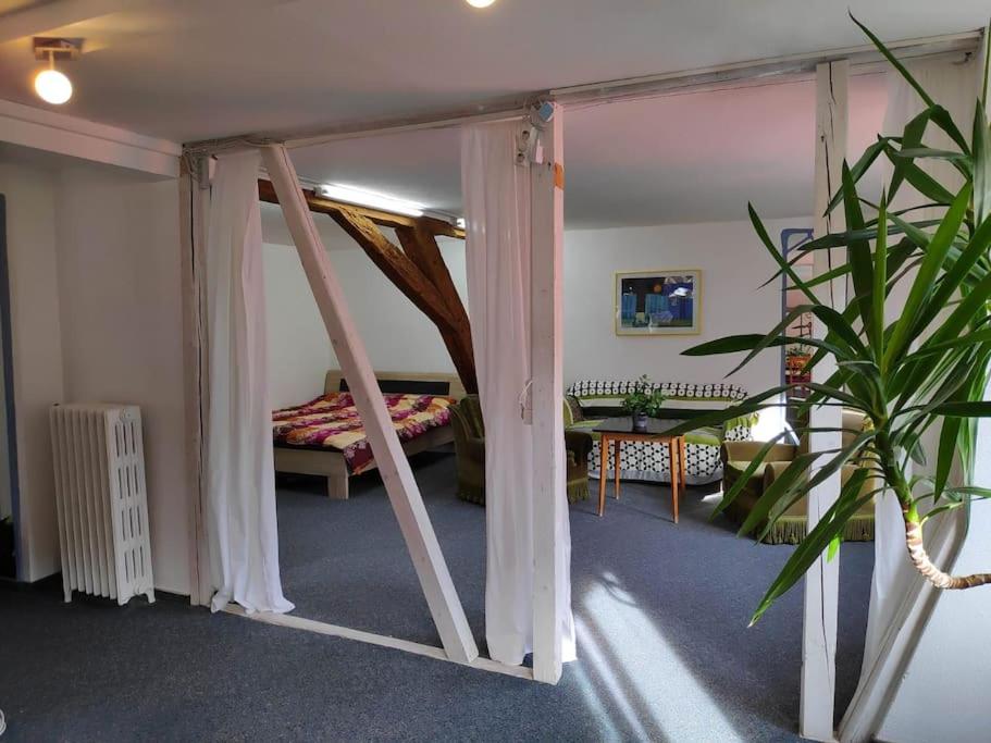Große 130 m2 gemütliche Wohnung im Herzen Tribergs view 4