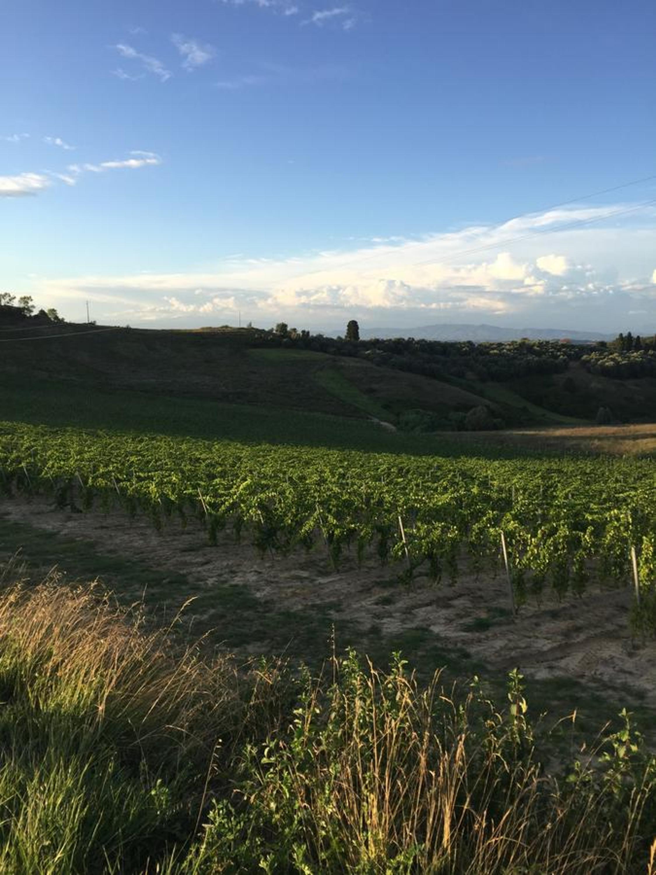 La Fornace - Agriturismo