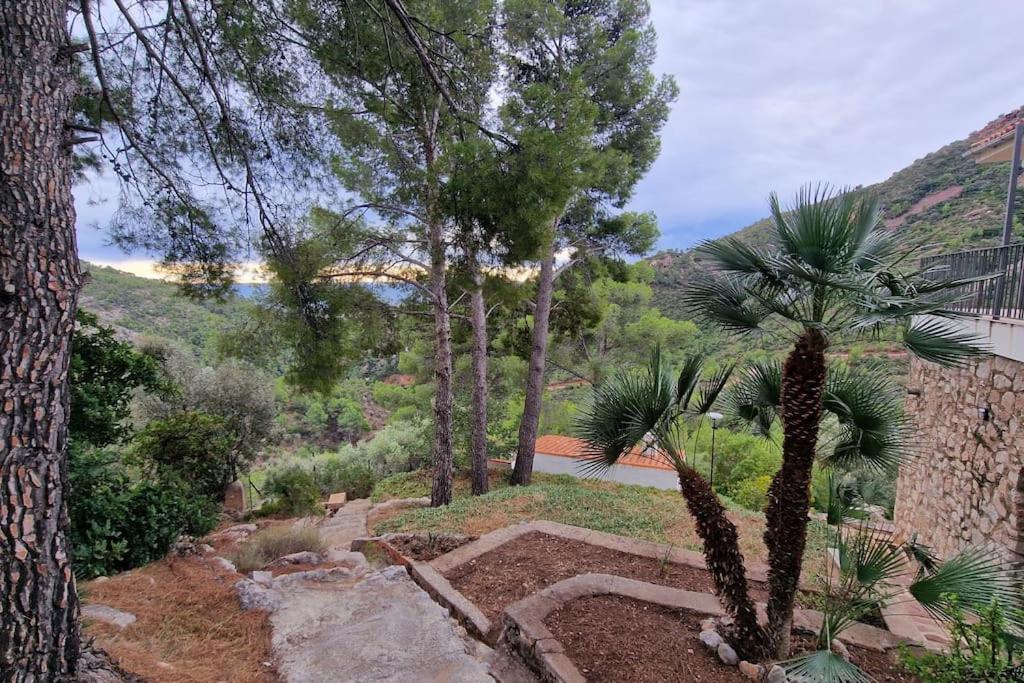 casa y piscina en un parque natural view 2