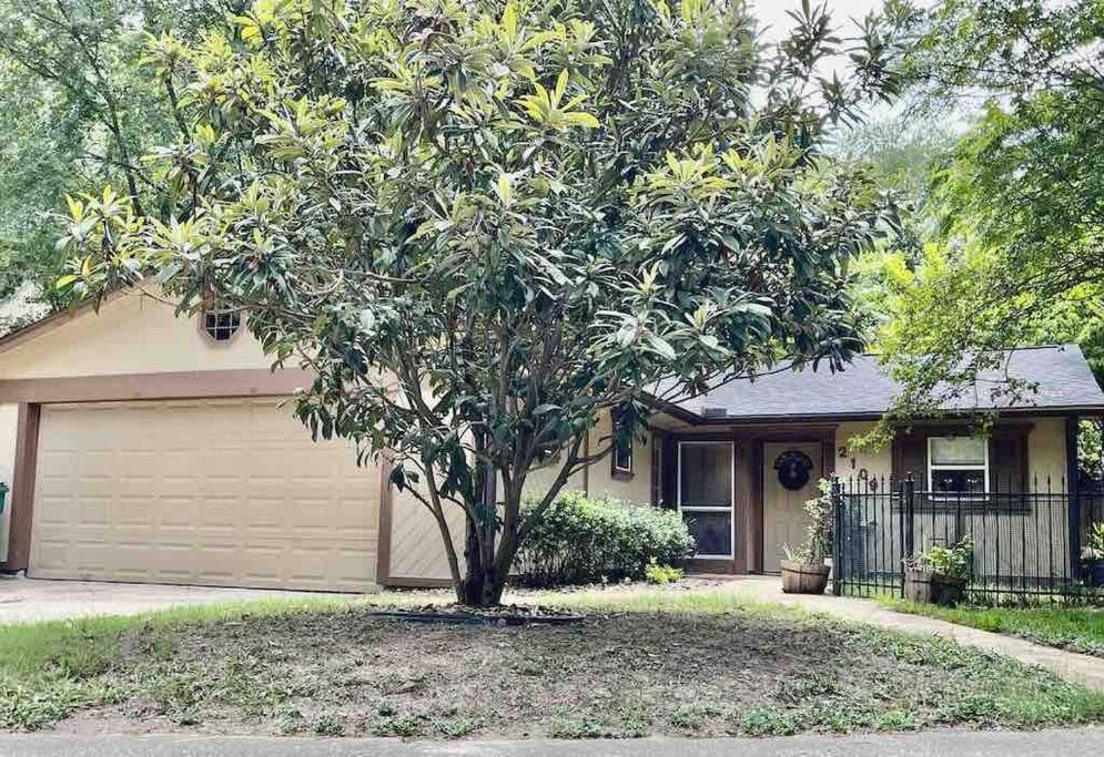 Enchanted Haven-A serene cottage in the Woodlands! view 3