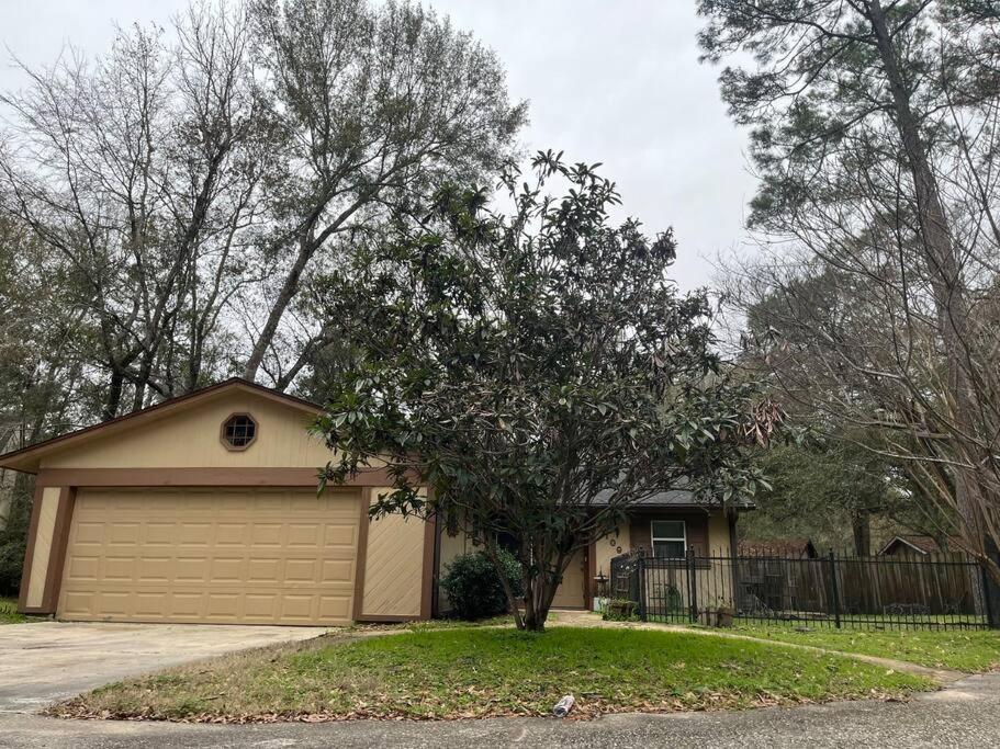 Enchanted Haven-A serene cottage in the Woodlands! view 5