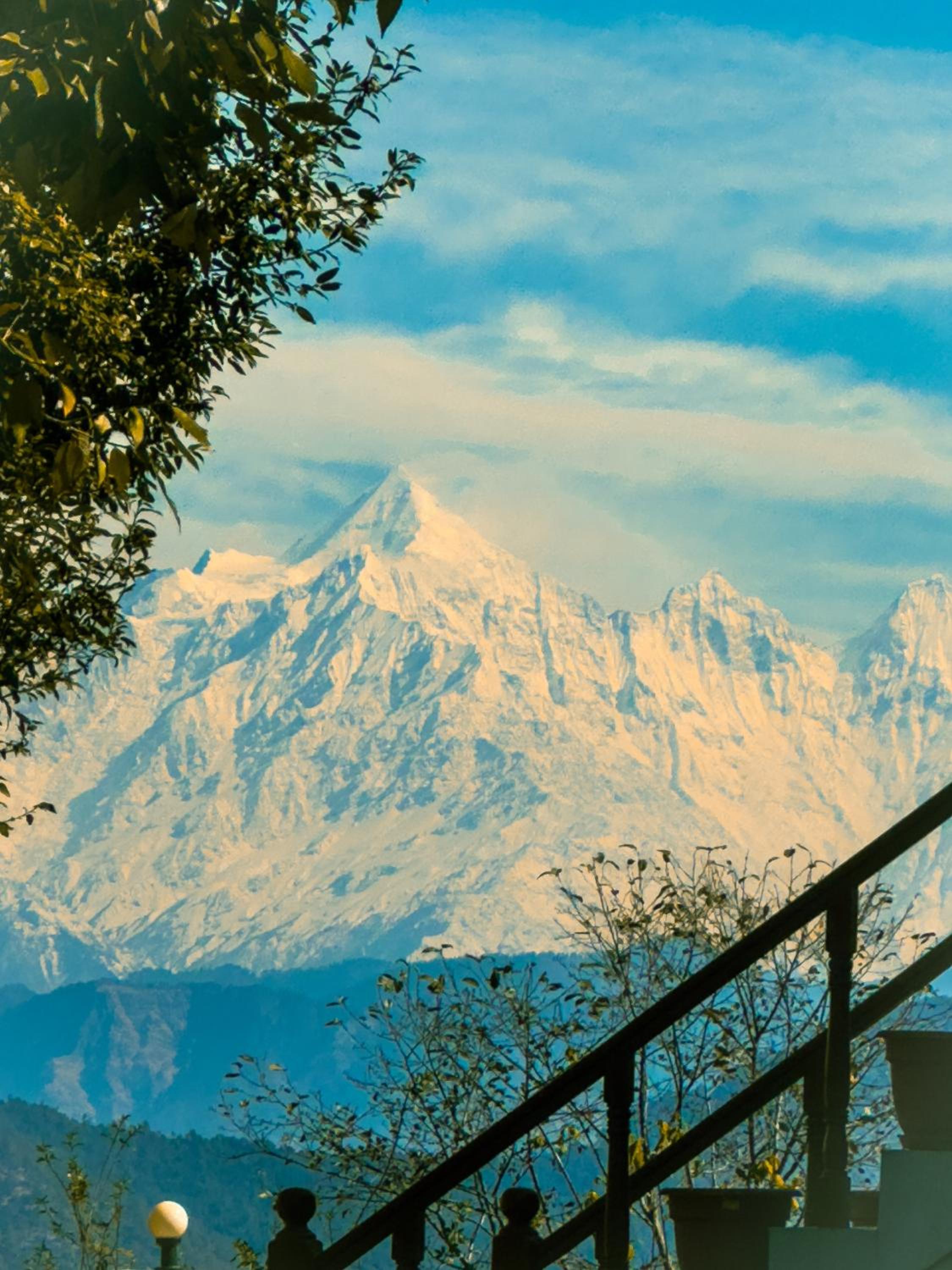 THE HIMALAYAN WOODS, CHAUKORI
