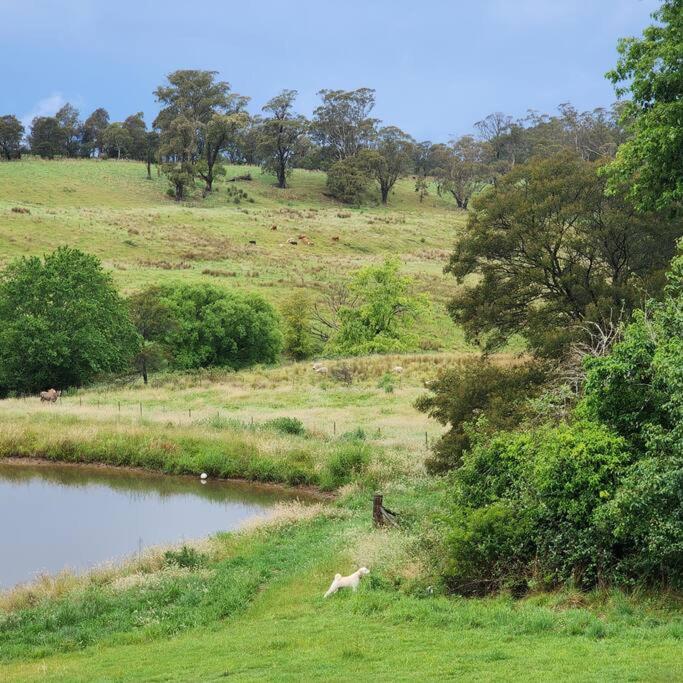 Willowbank Farm