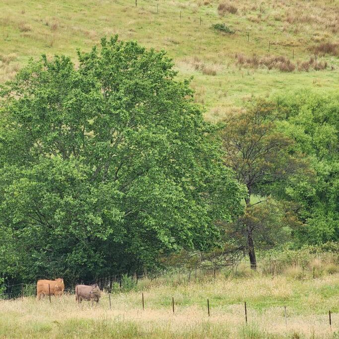Willowbank Farm