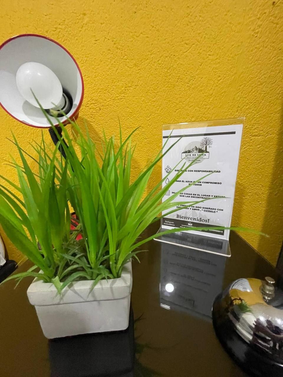 LUZ DE LUNA mesa de los santos house