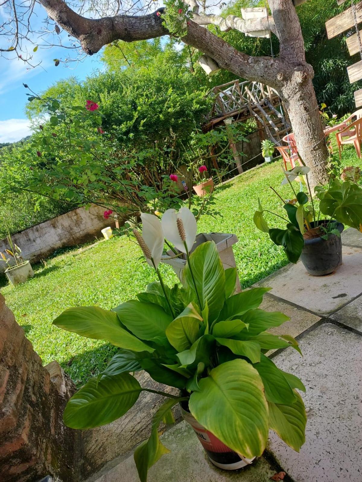 Chalés Cantim da Felicidade