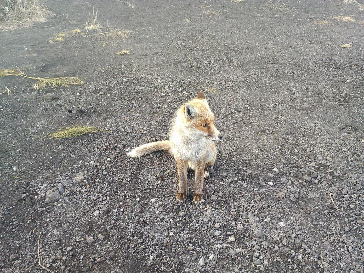 Photo 29