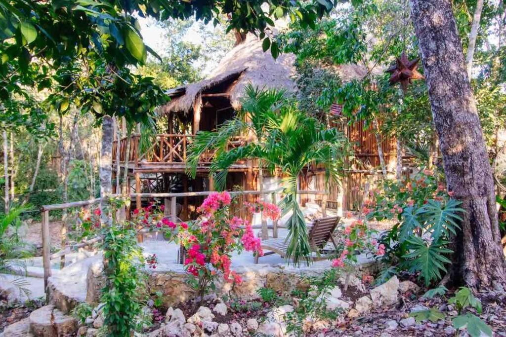 Selvaluna cabaña eco-chic view 4