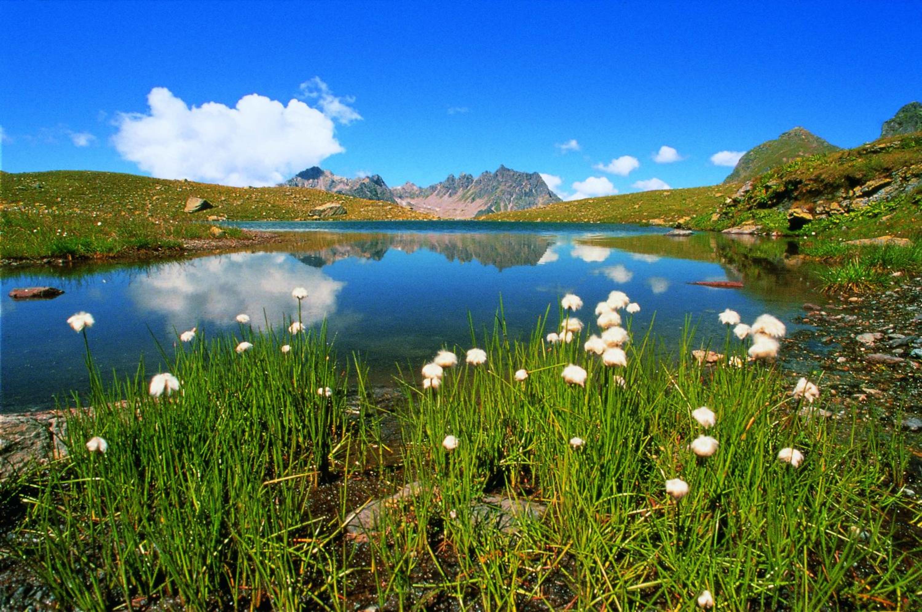Photo 60