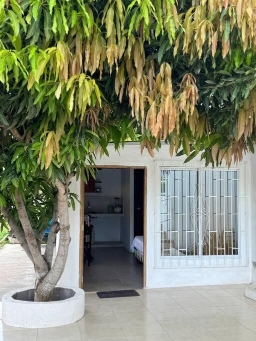 Suite para parejas