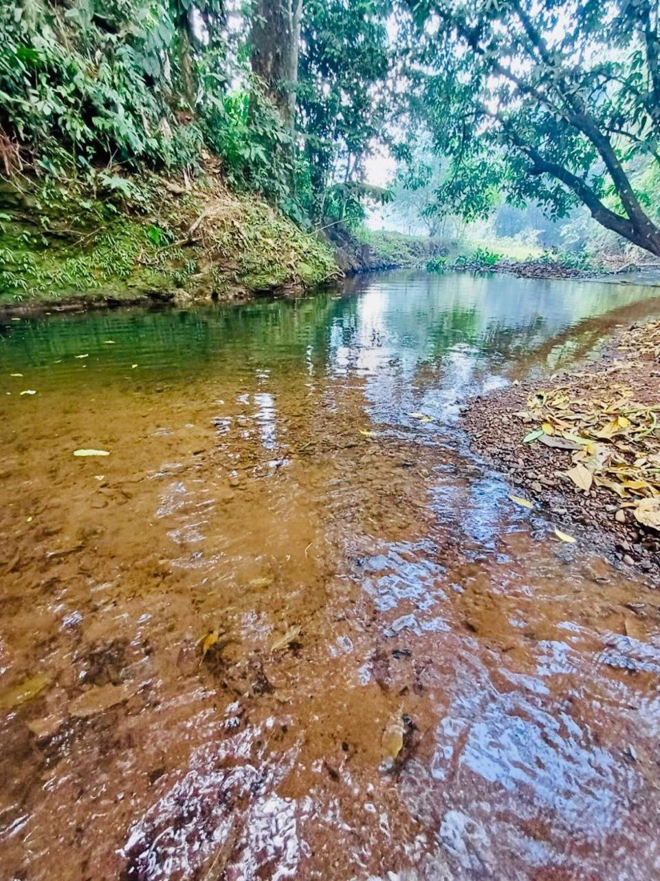 Ceibo Lodge, great birdwatching
