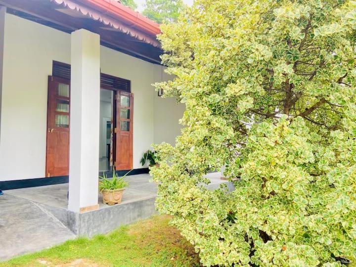 Uma Nature Villa