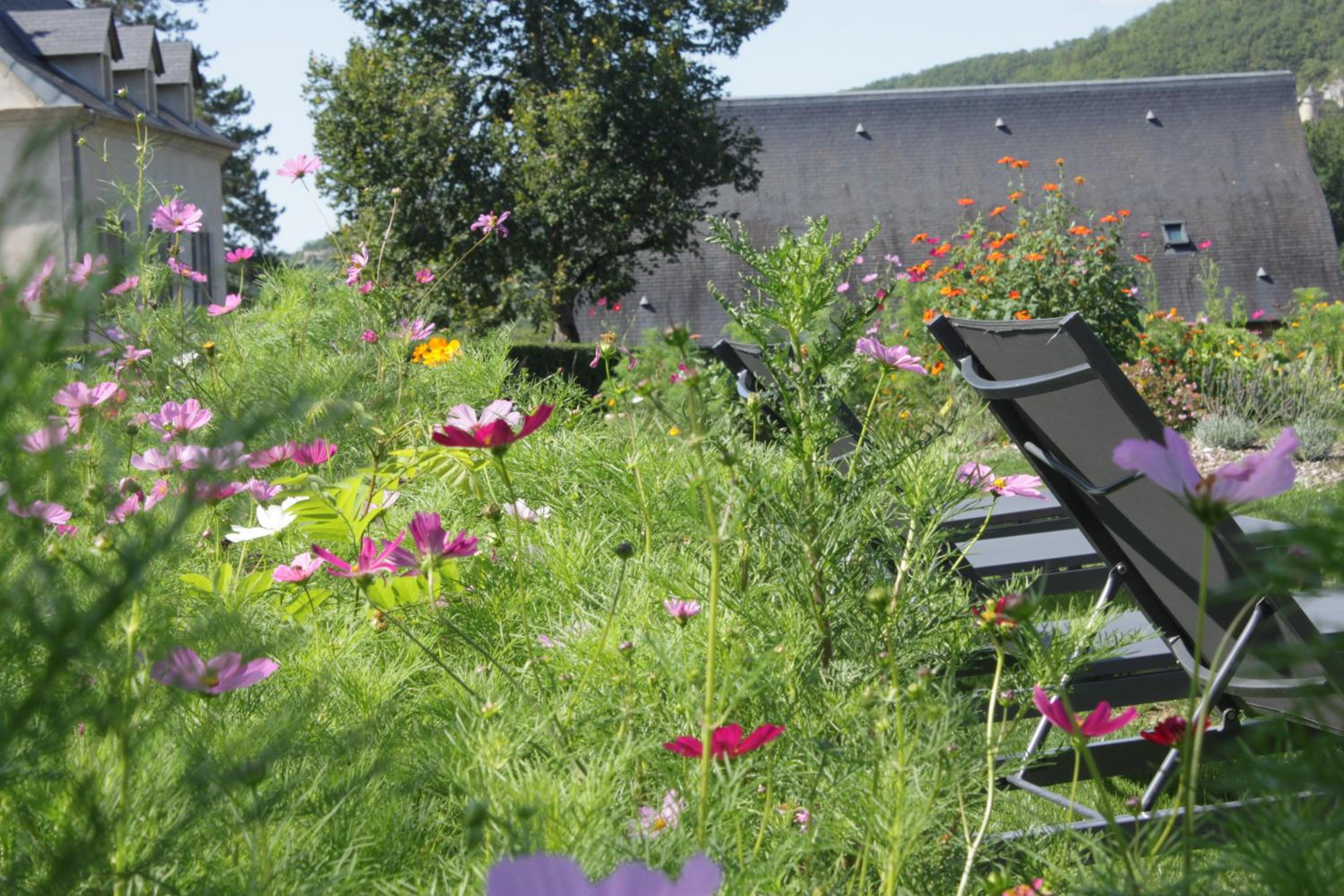 Domaine Le Broual