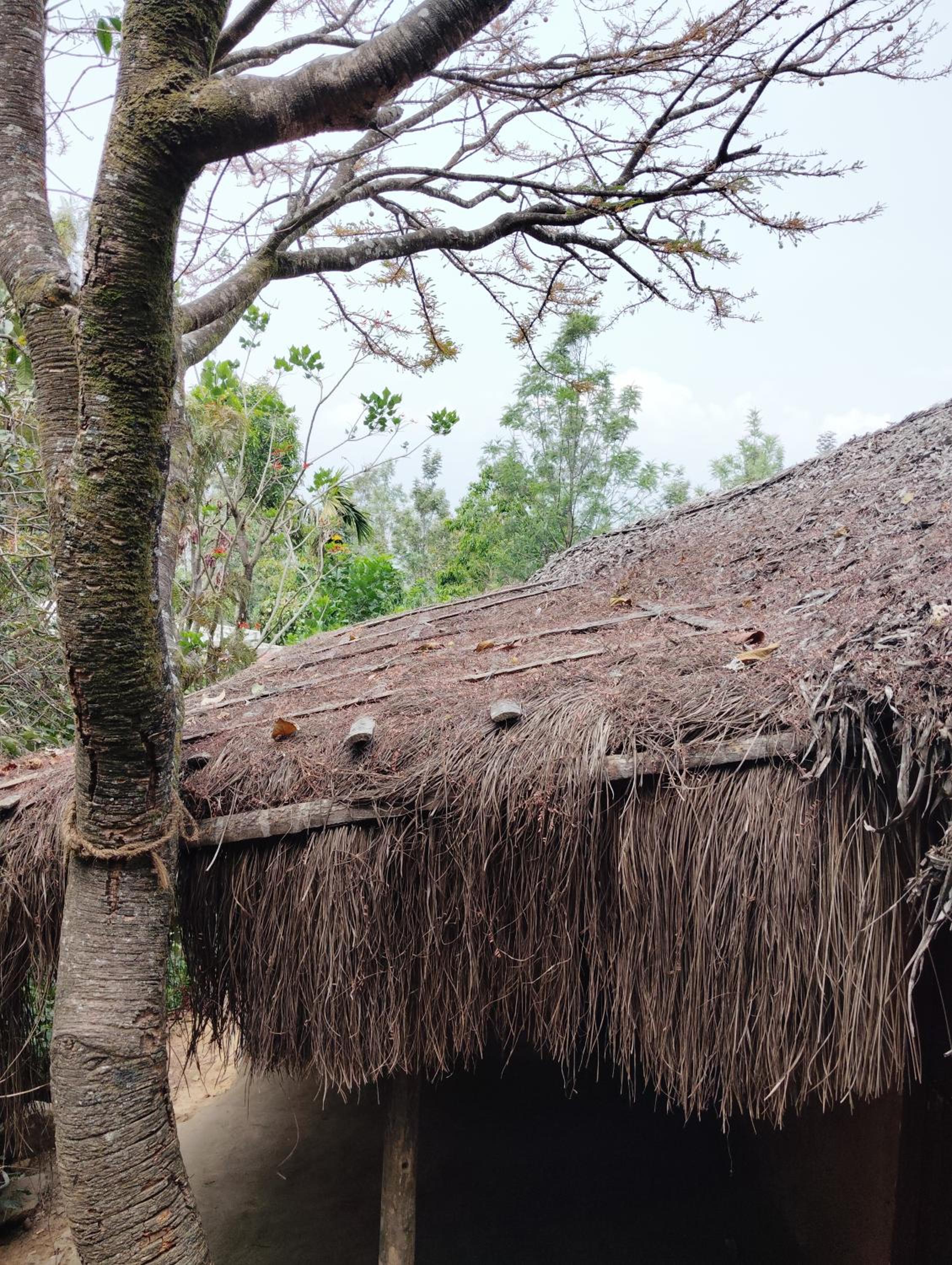 Cosmic Mud House Kanthalloor