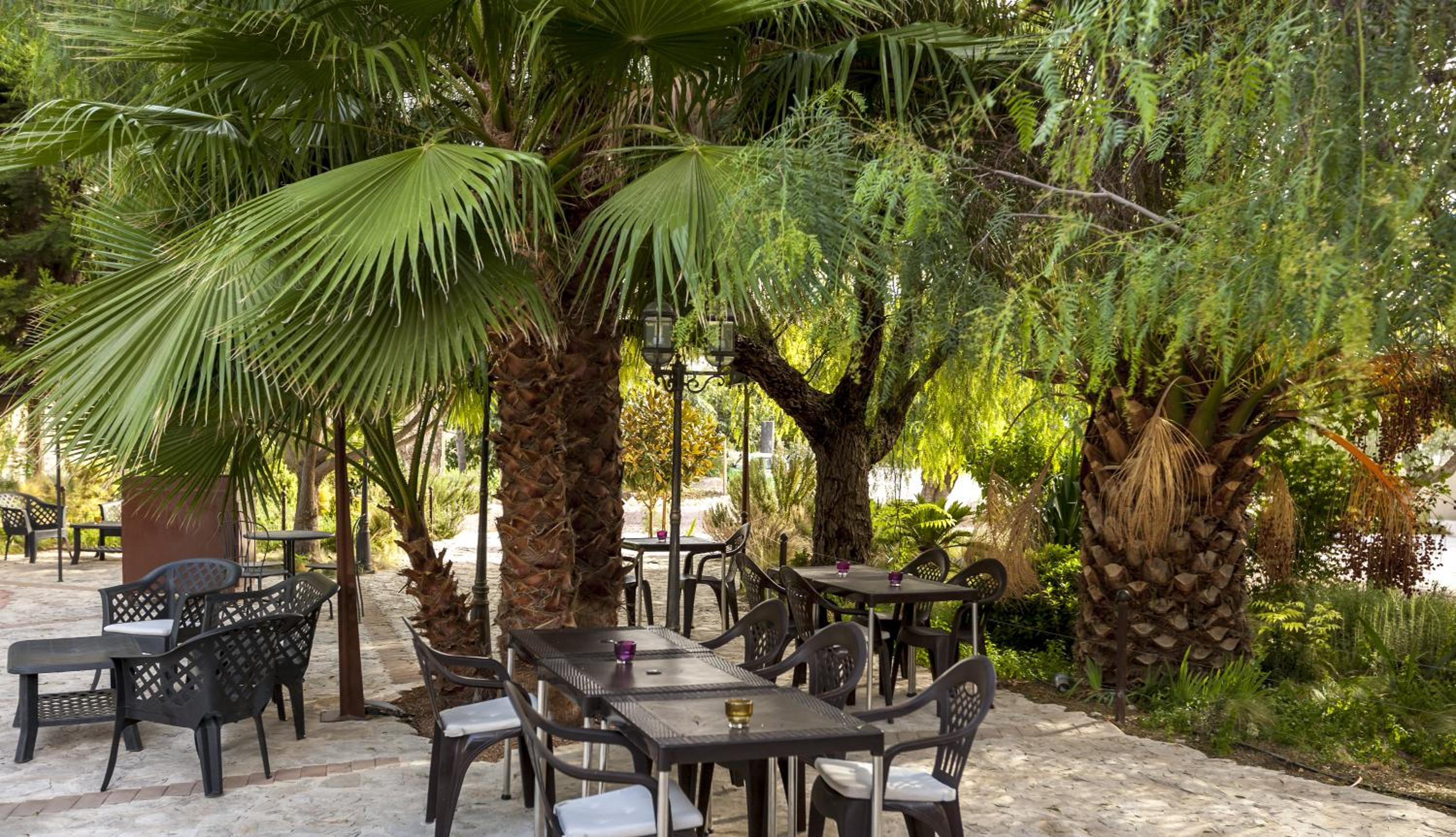 Jardines de Casablanca