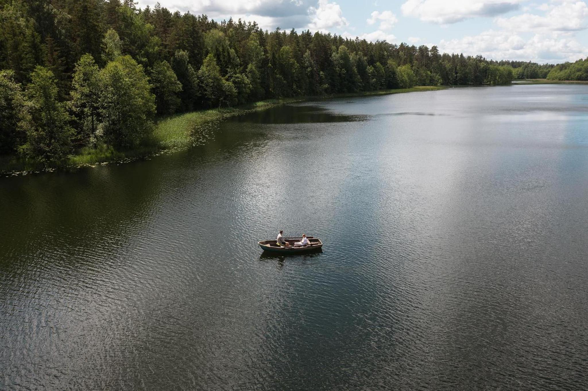 Miškas Arjola