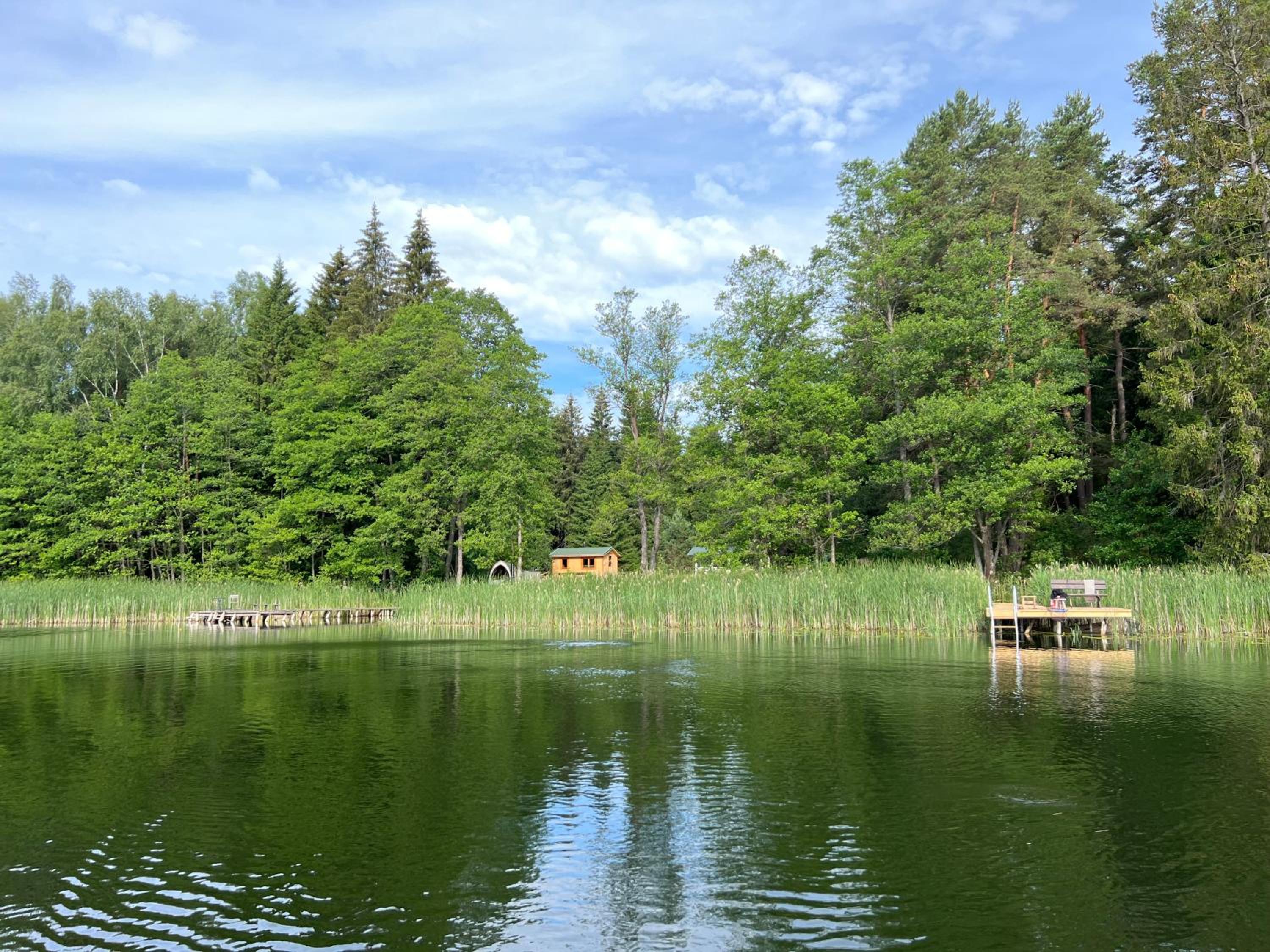 Miškas Arjola