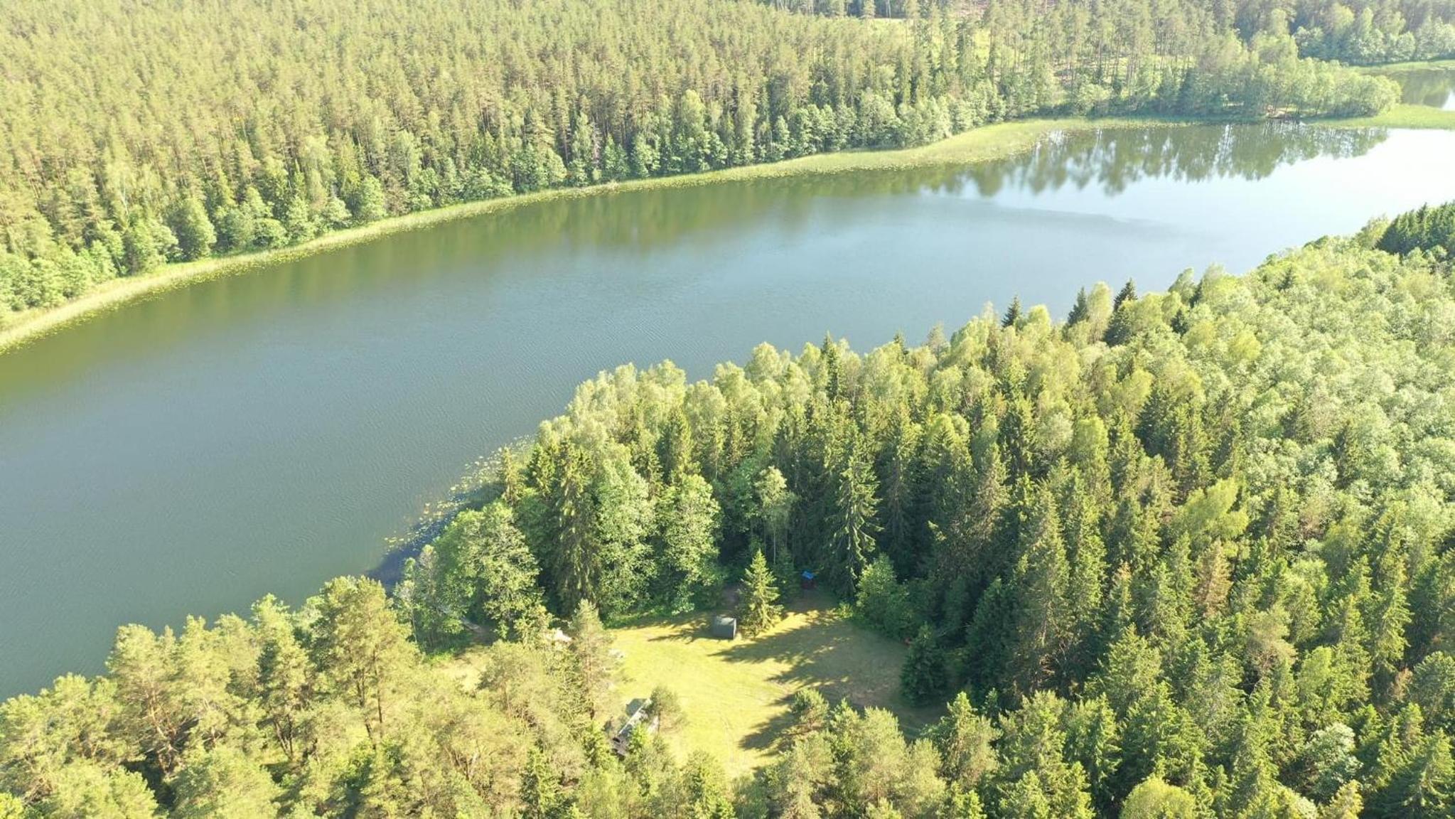 Miškas Arjola