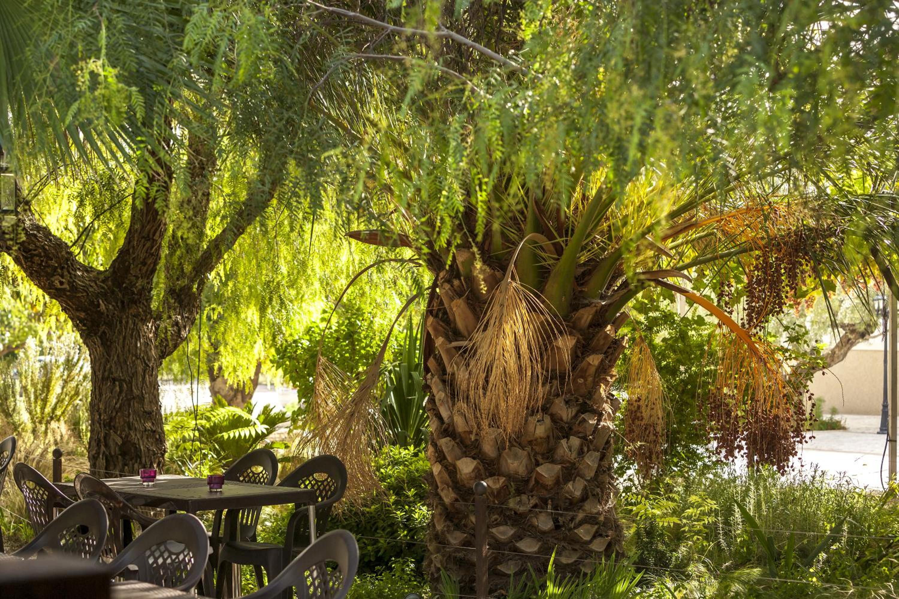 Jardines de Casablanca