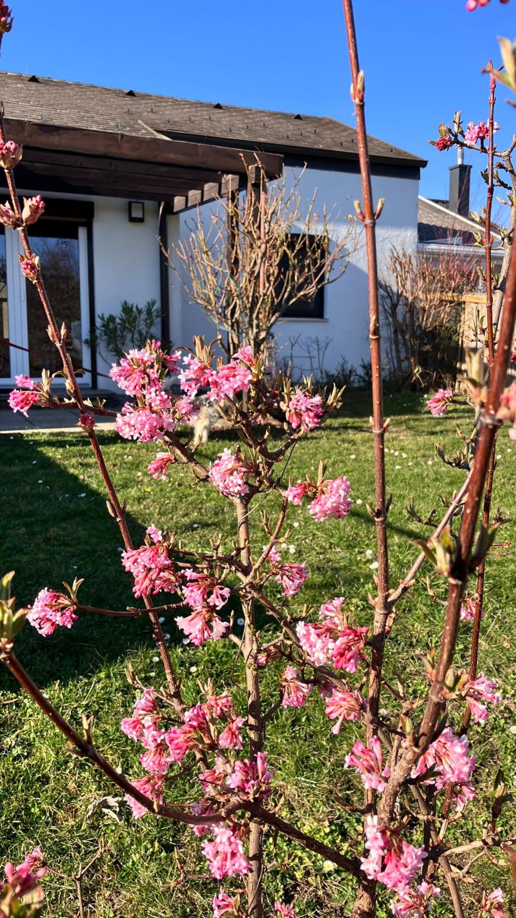 Ferienhaus Seeblick