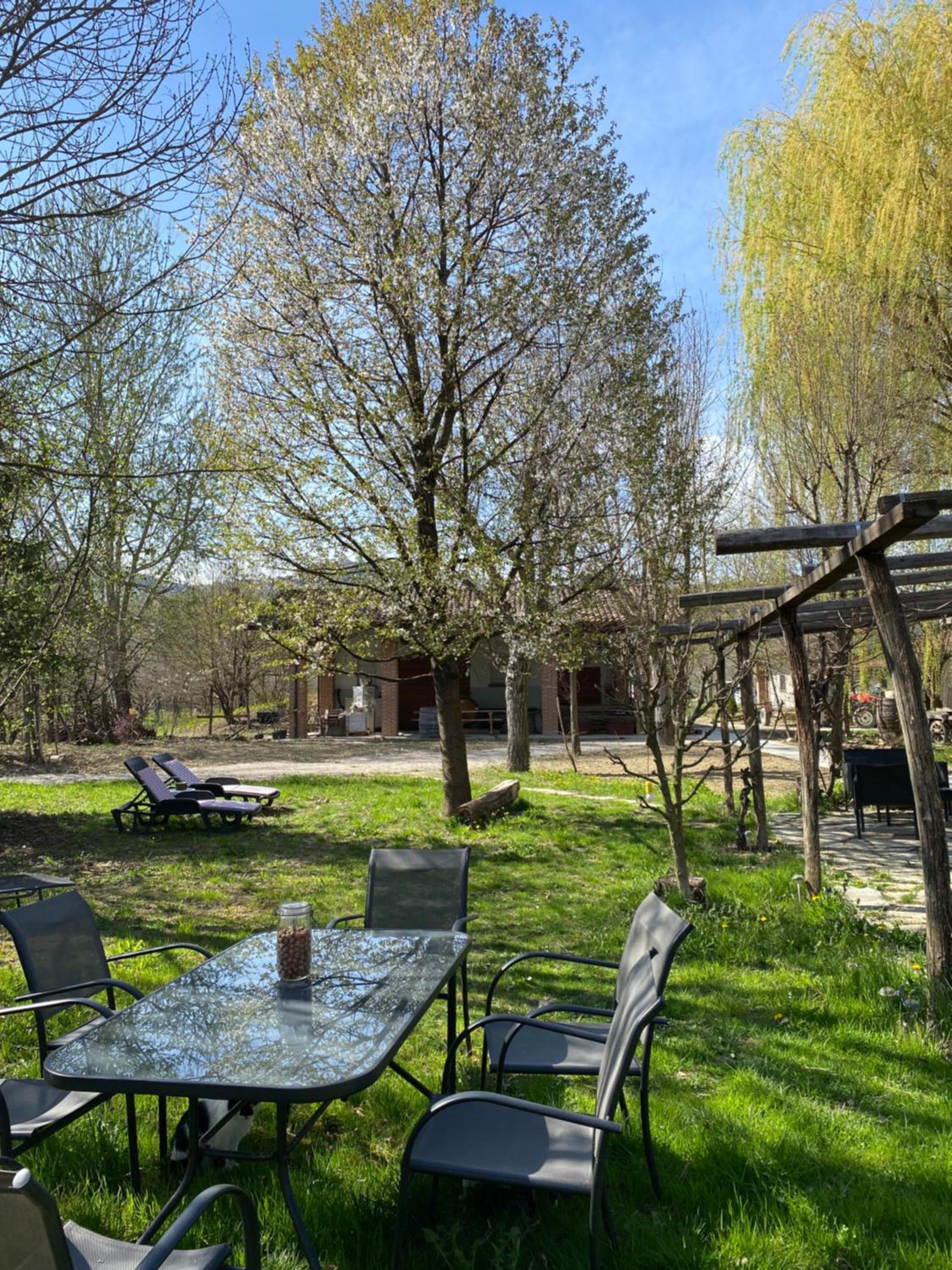 Agriturismo Viticcio